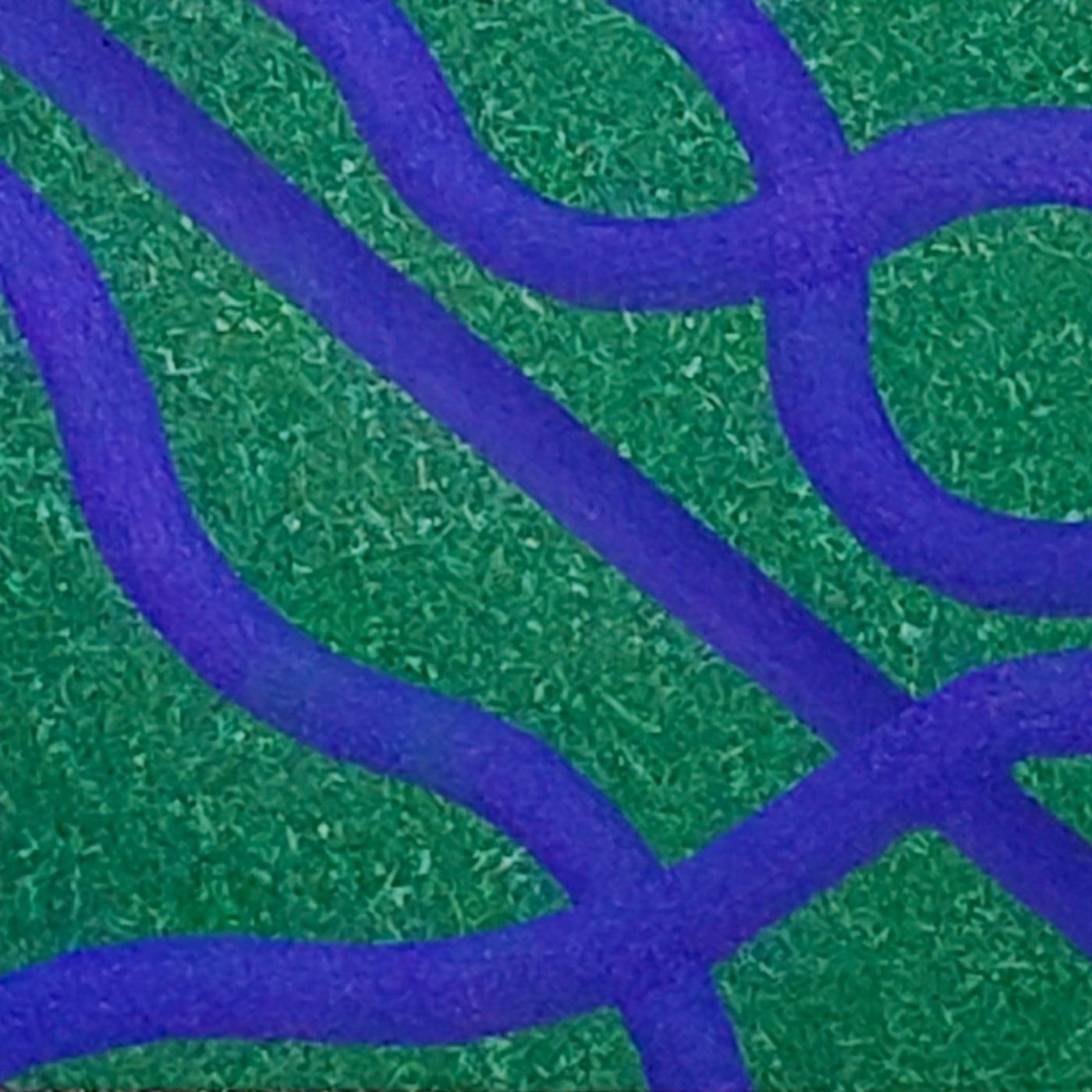 Episode 270 : Tim Carman #2 (Parlor Greens, Canyon Lights)