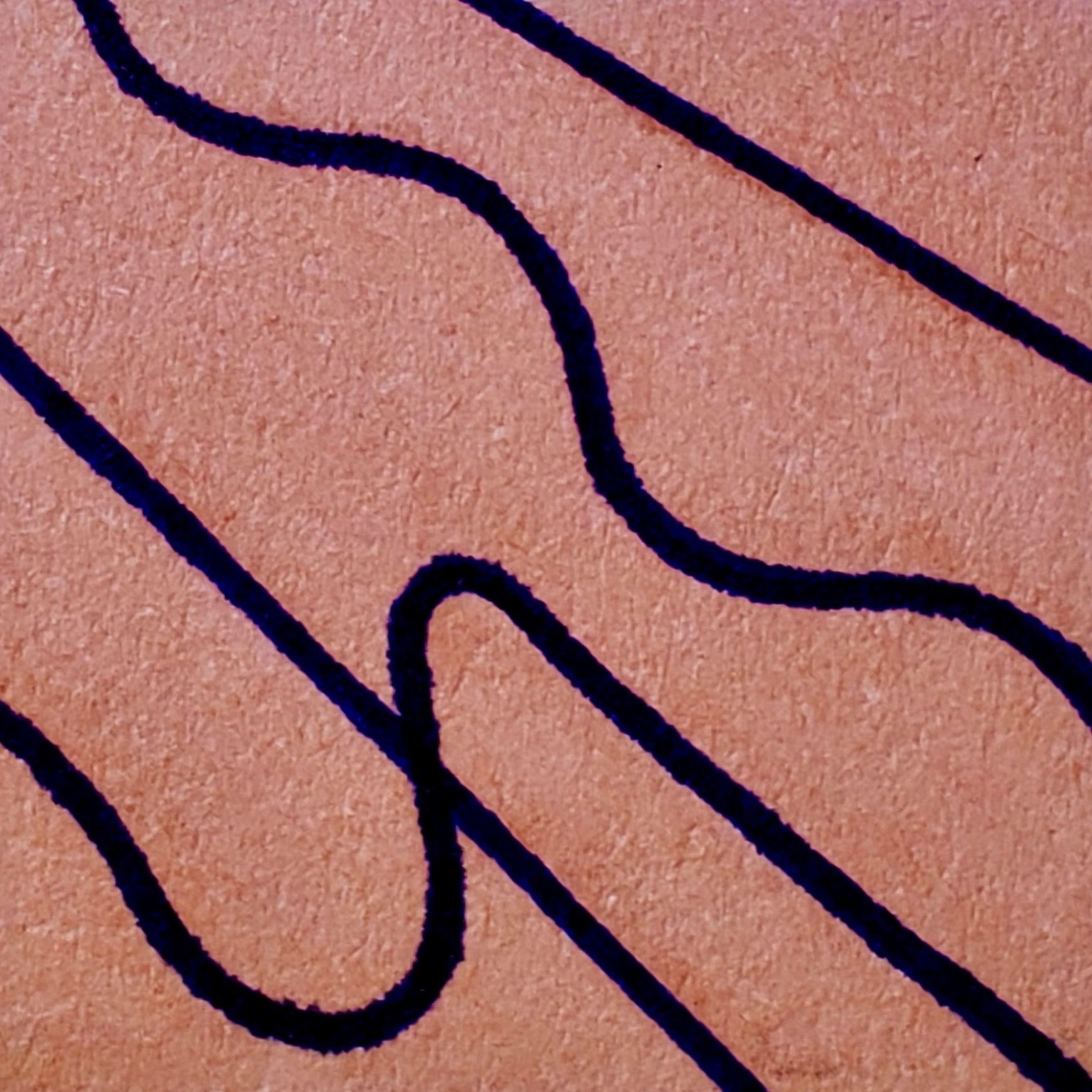 The Vineyard Podcast