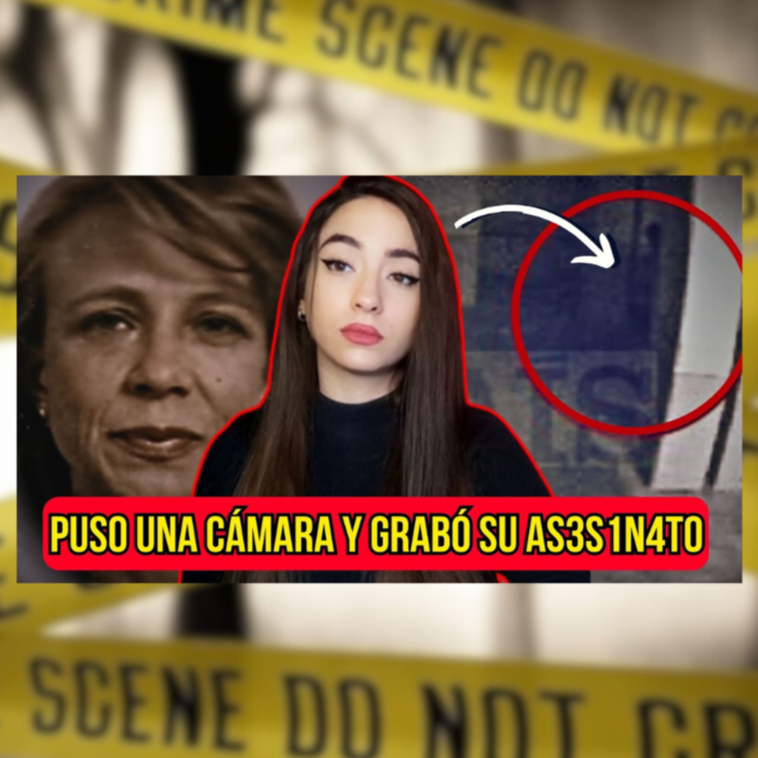 Casos reales con Roorow