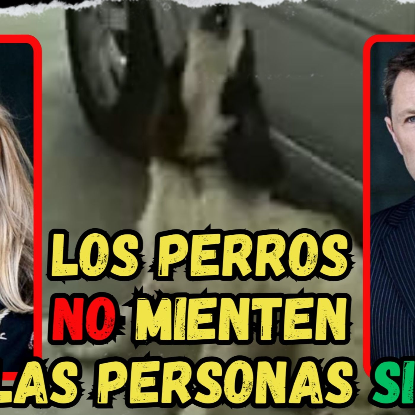 DOCUMENTAL | CASO MADELEINE McCANN - ¿Qué saben LOS PERROS y ocultan los "TAPAS 9"? episode artwork
