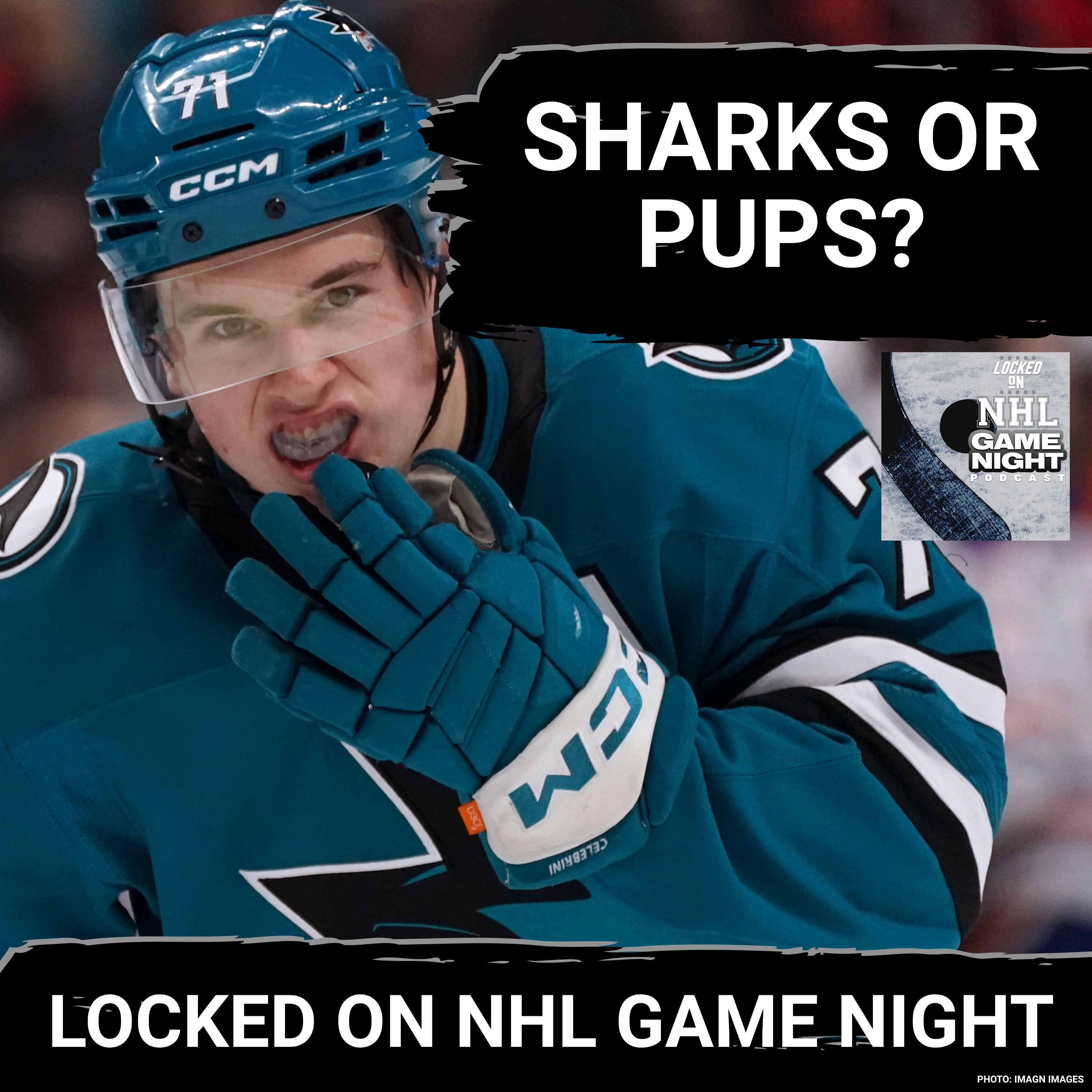 GAME NIGHT: San Jose Sharks Still BITING at the Long Game