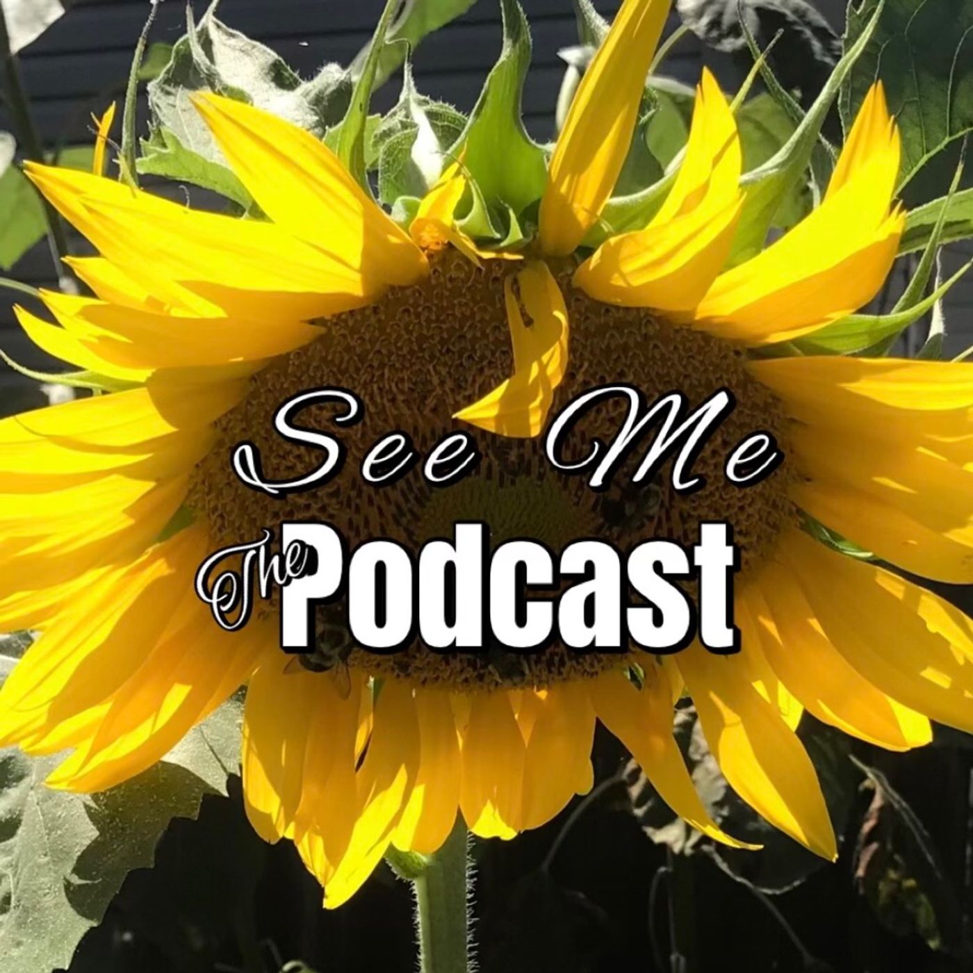 See Me: The Podcast