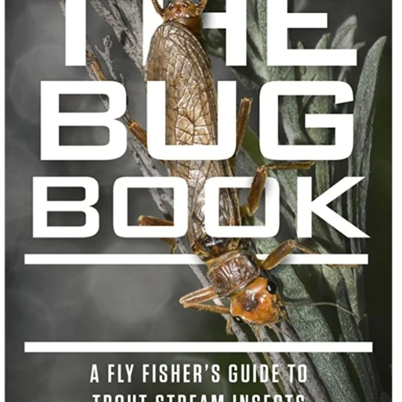 Tidbits with Swift: Book Worm Volume 2