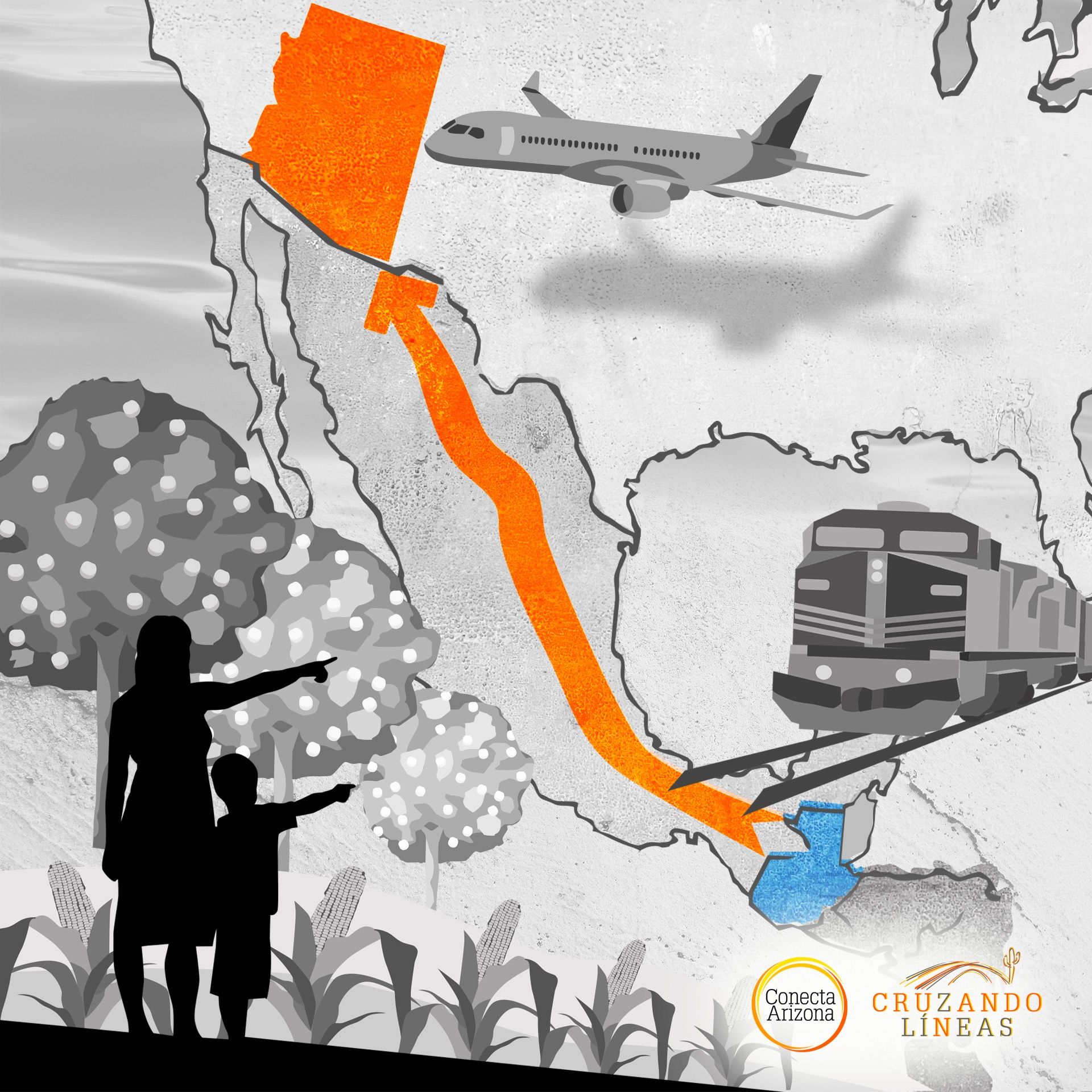 Cruzando Líneas