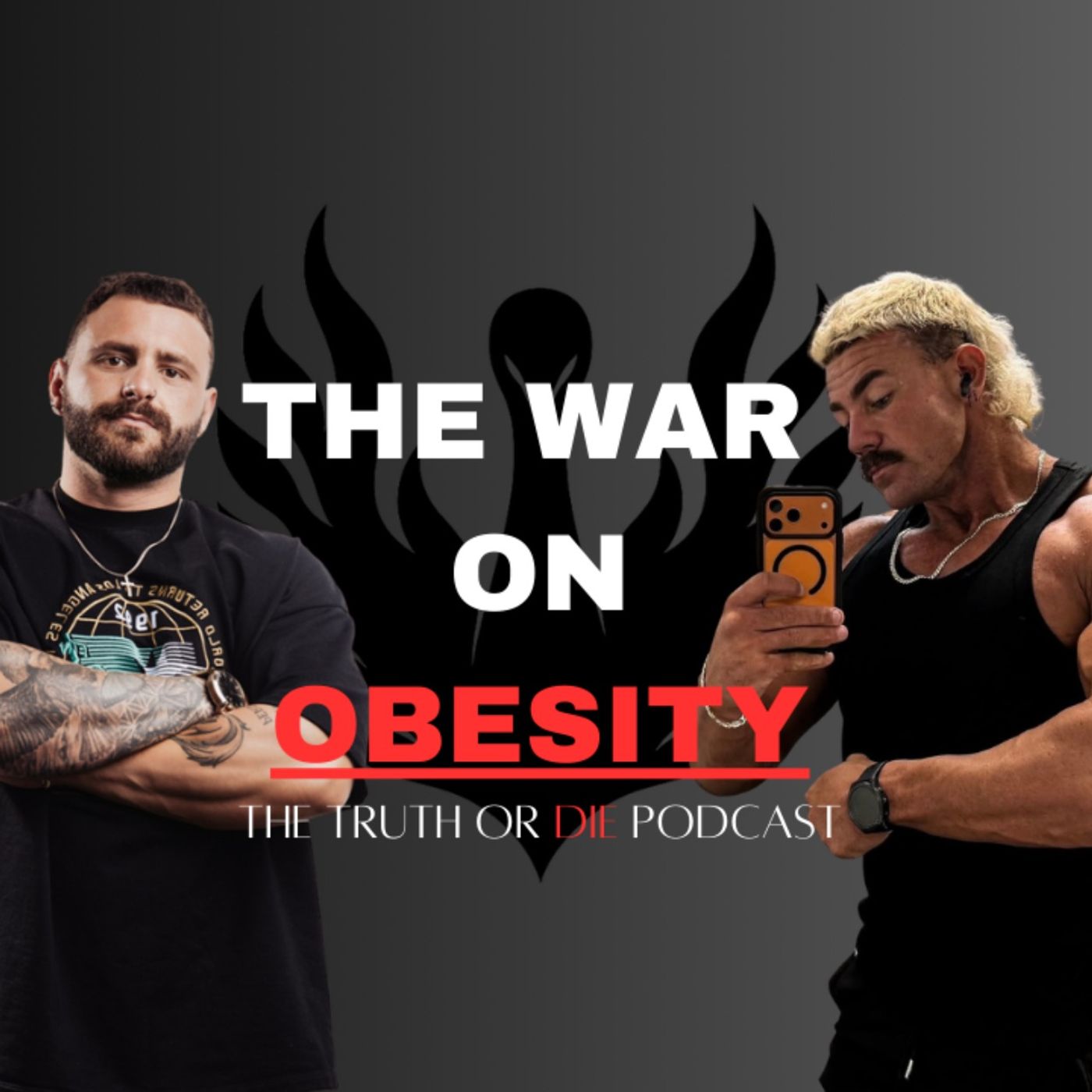 The War On Obesity episode artwork