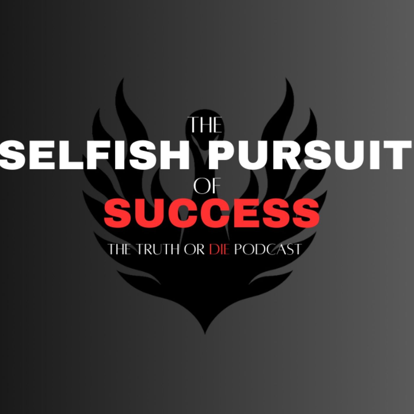 The Selfish Pursuit of Success episode artwork