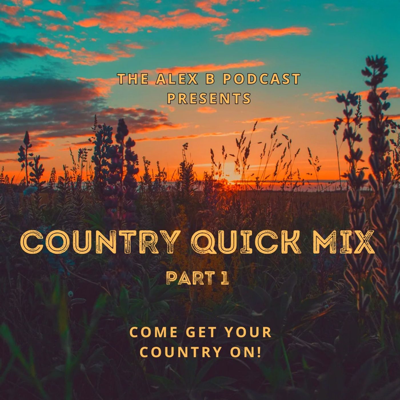 EP: IT'S A COUNTRY QUICK MIX