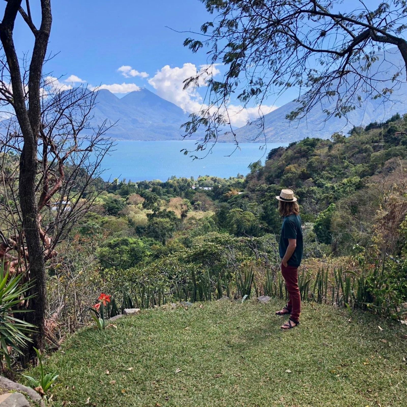 FAR OUT #78 ~ Exploring Ayahuasca: A month later (Episode 3)