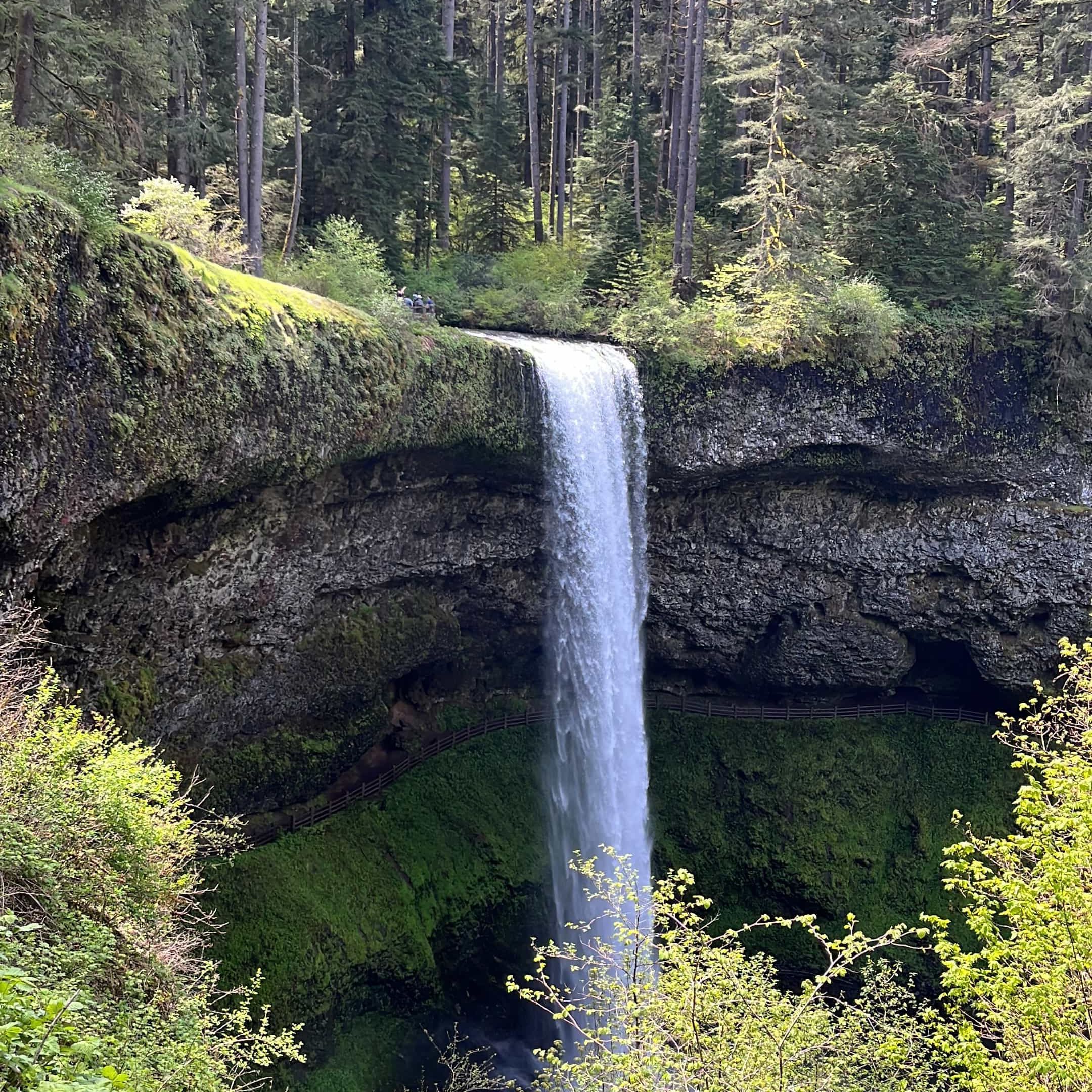 FAR OUT: Adventures in Returning Home