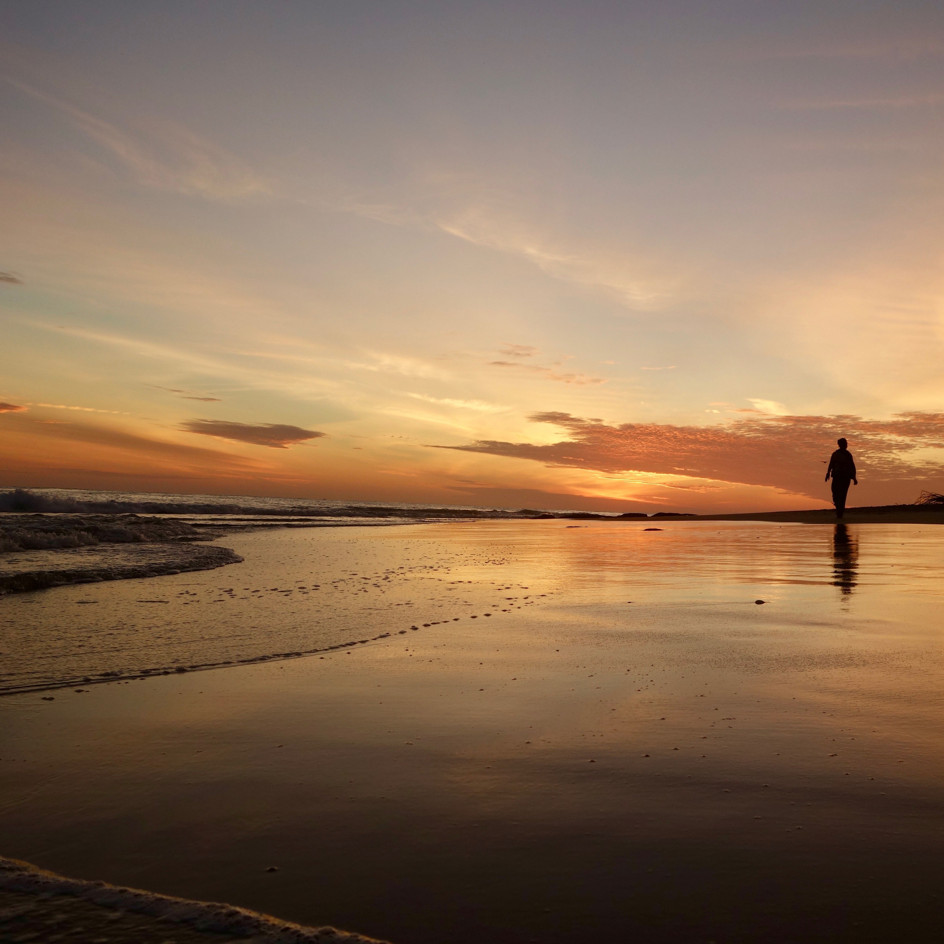 FAR OUT: Adventures in Returning Home