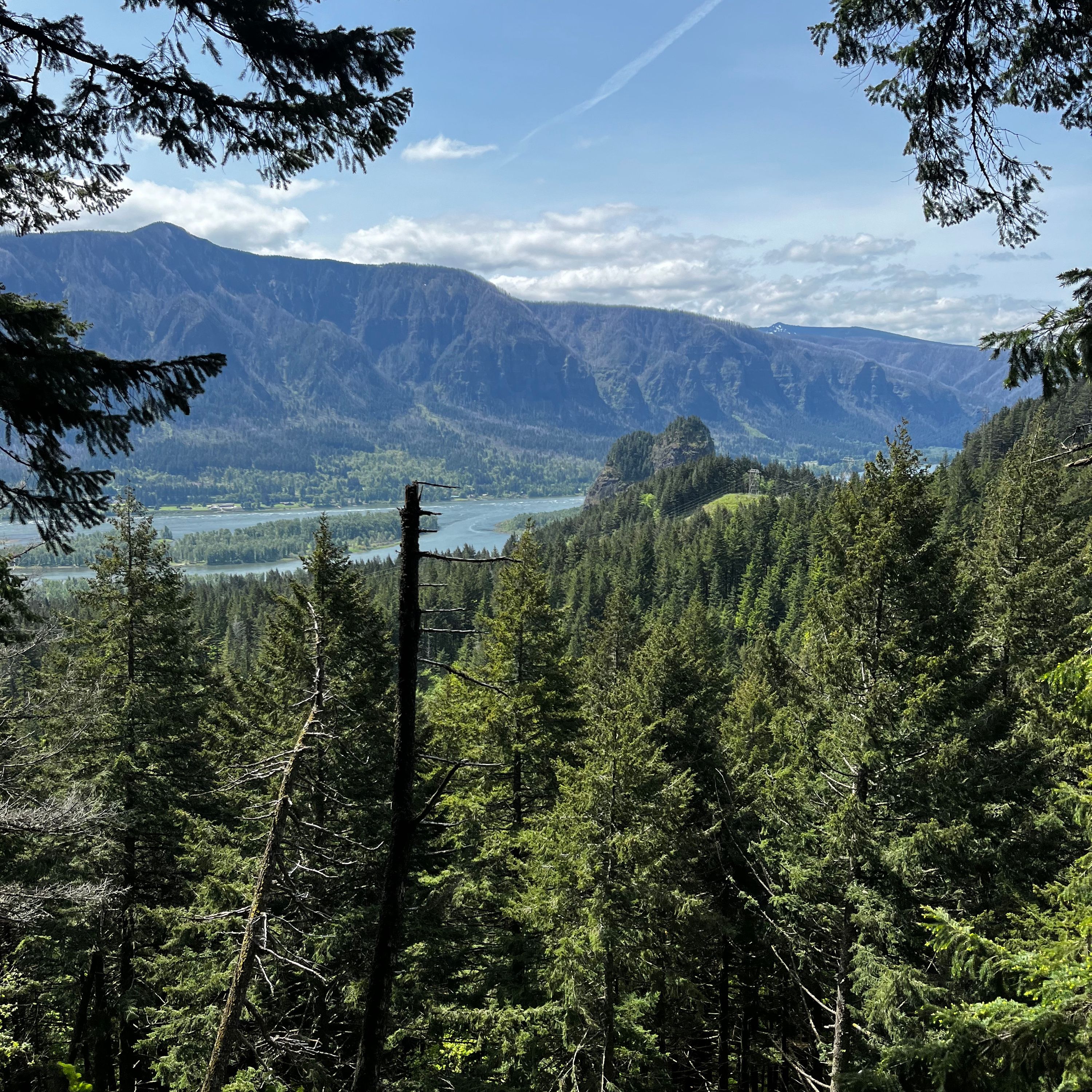 FAR OUT #177 ~ When to Trade in Freedom for Efficiency