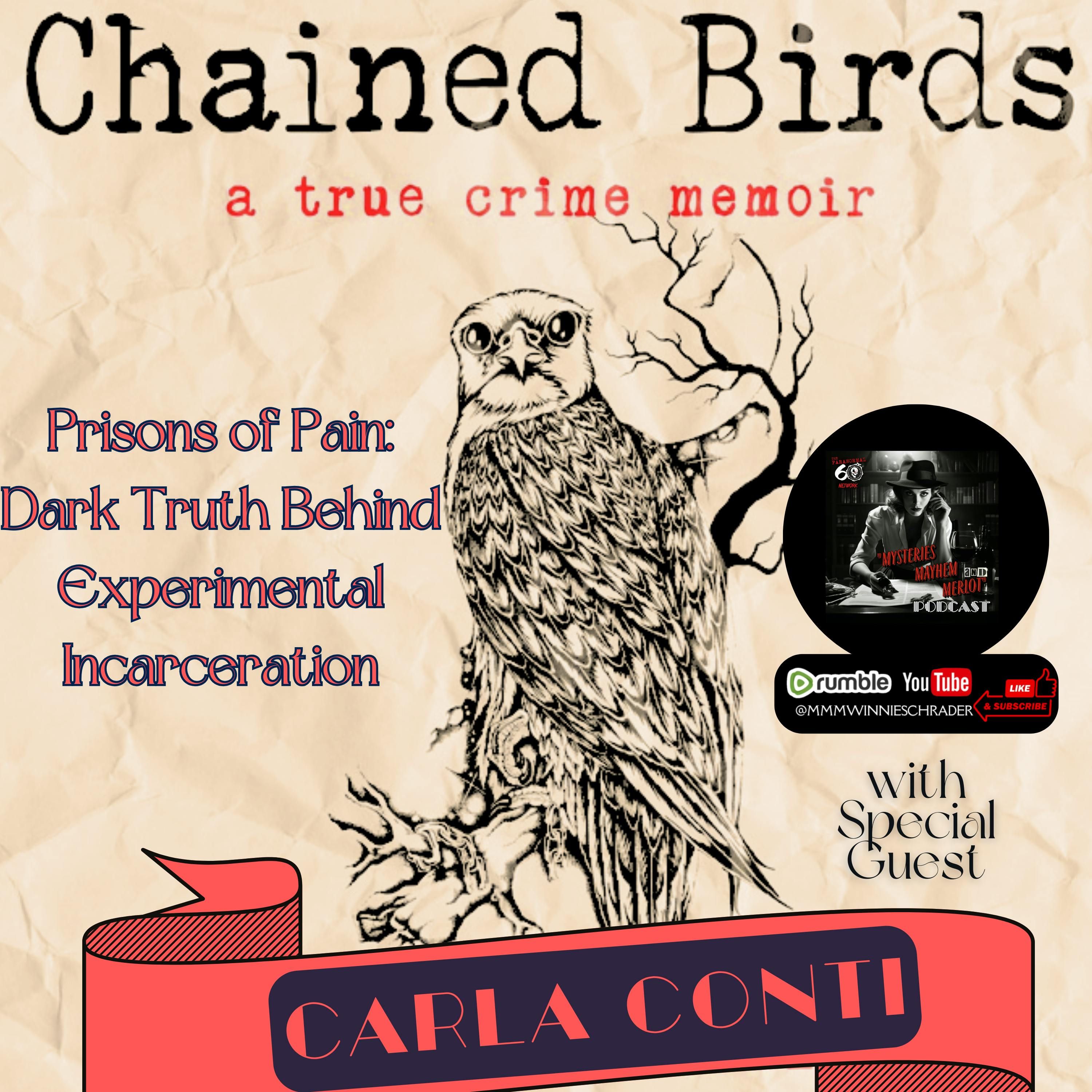 Prisons of Pain: Dark Truth Behind Experimental Prison with Carla Conti - Mysteries, Mayhem & Merlot episode artwork