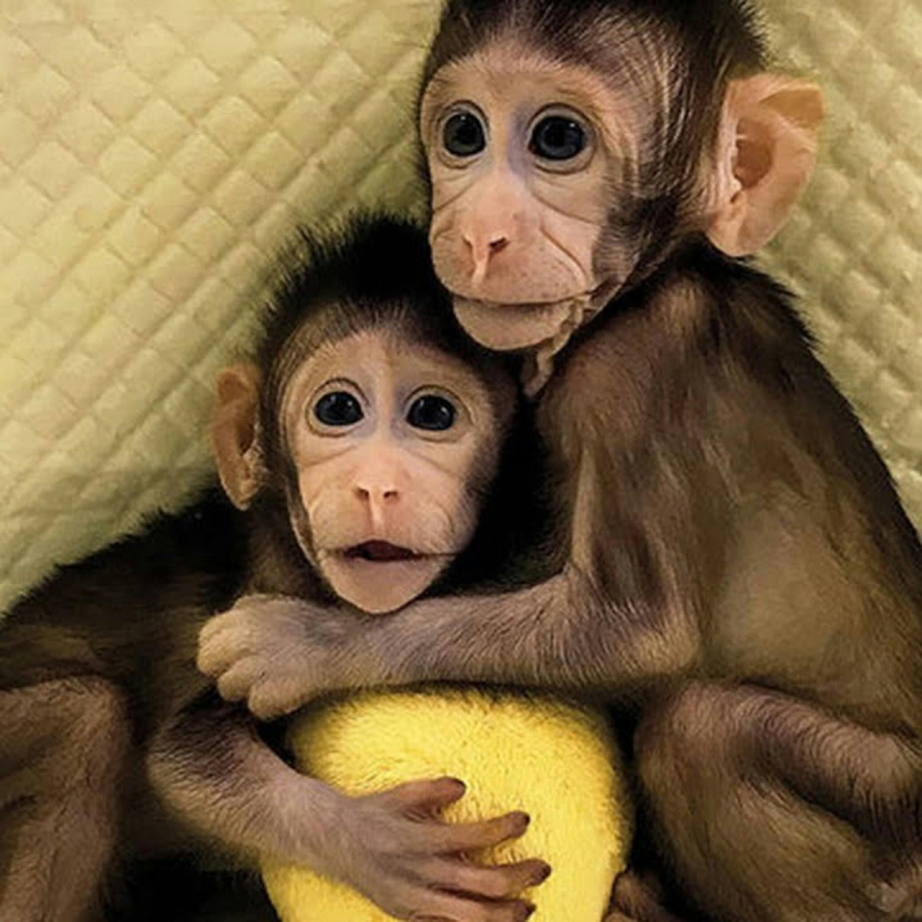 Clones, Conspiracies & Cookies Edition - The Paranormal 60 News