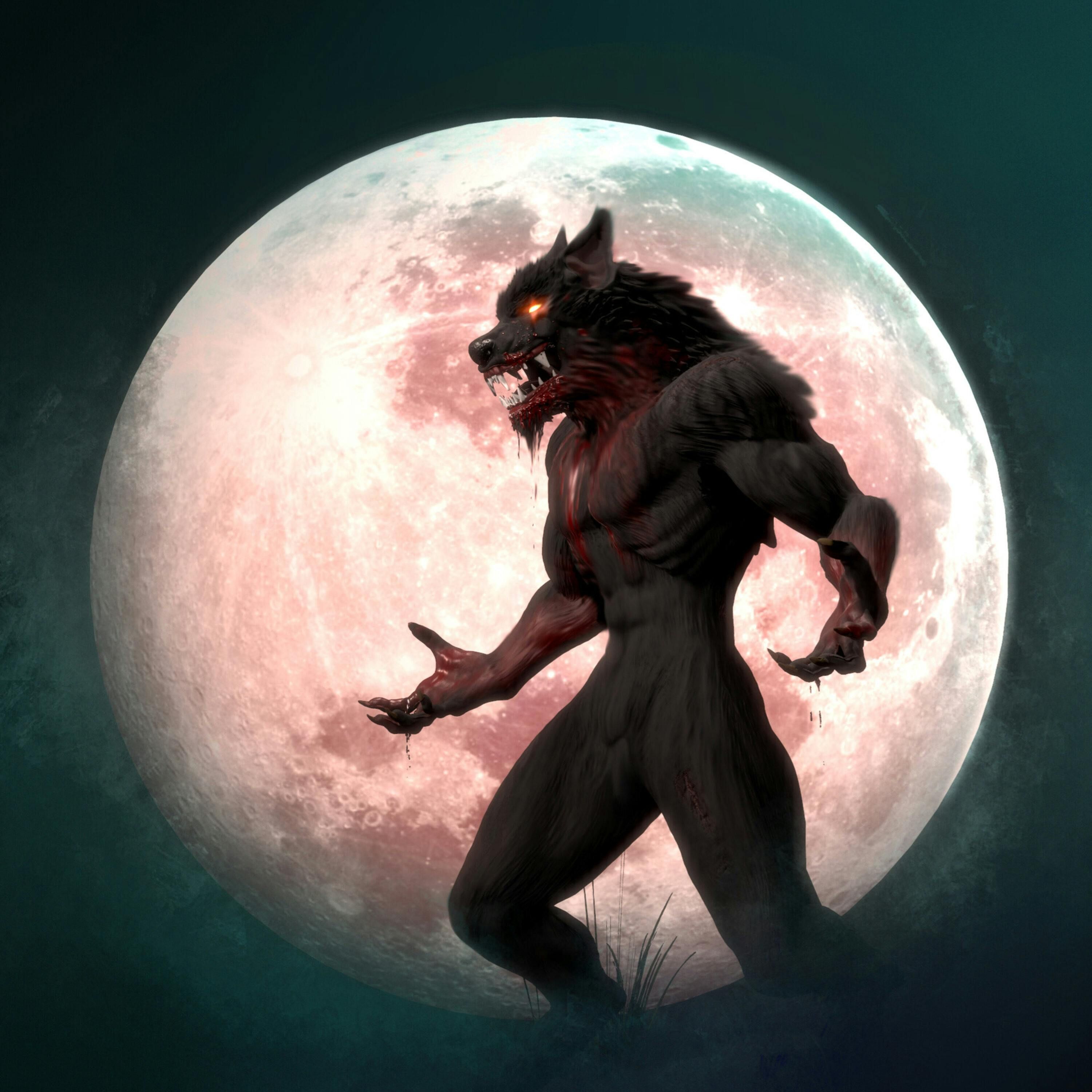 Haunted and The Beast episode artwork