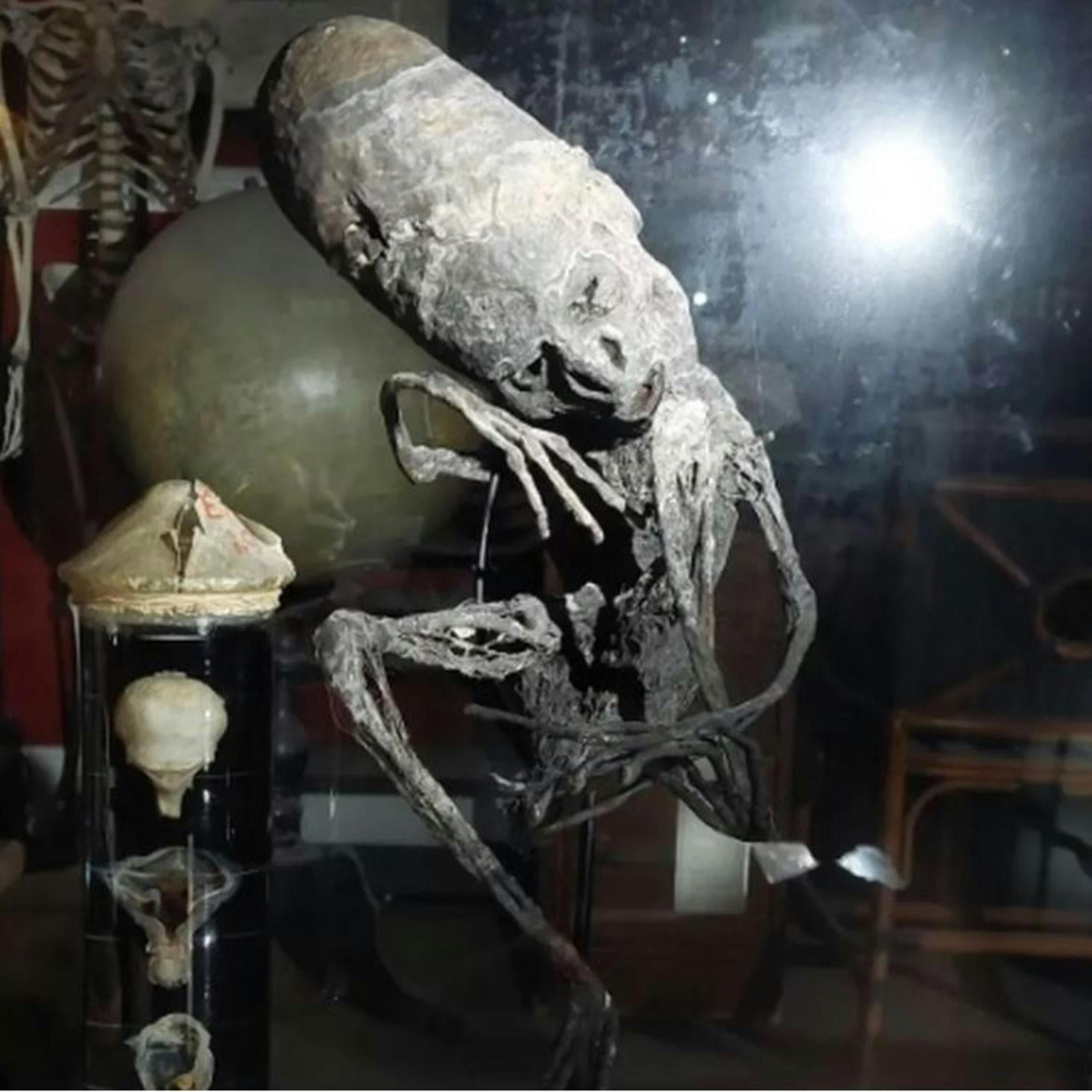200th Episode Ghosts, Aliens, Monsters &  More Edition - The Paranormal 60 News episode artwork
