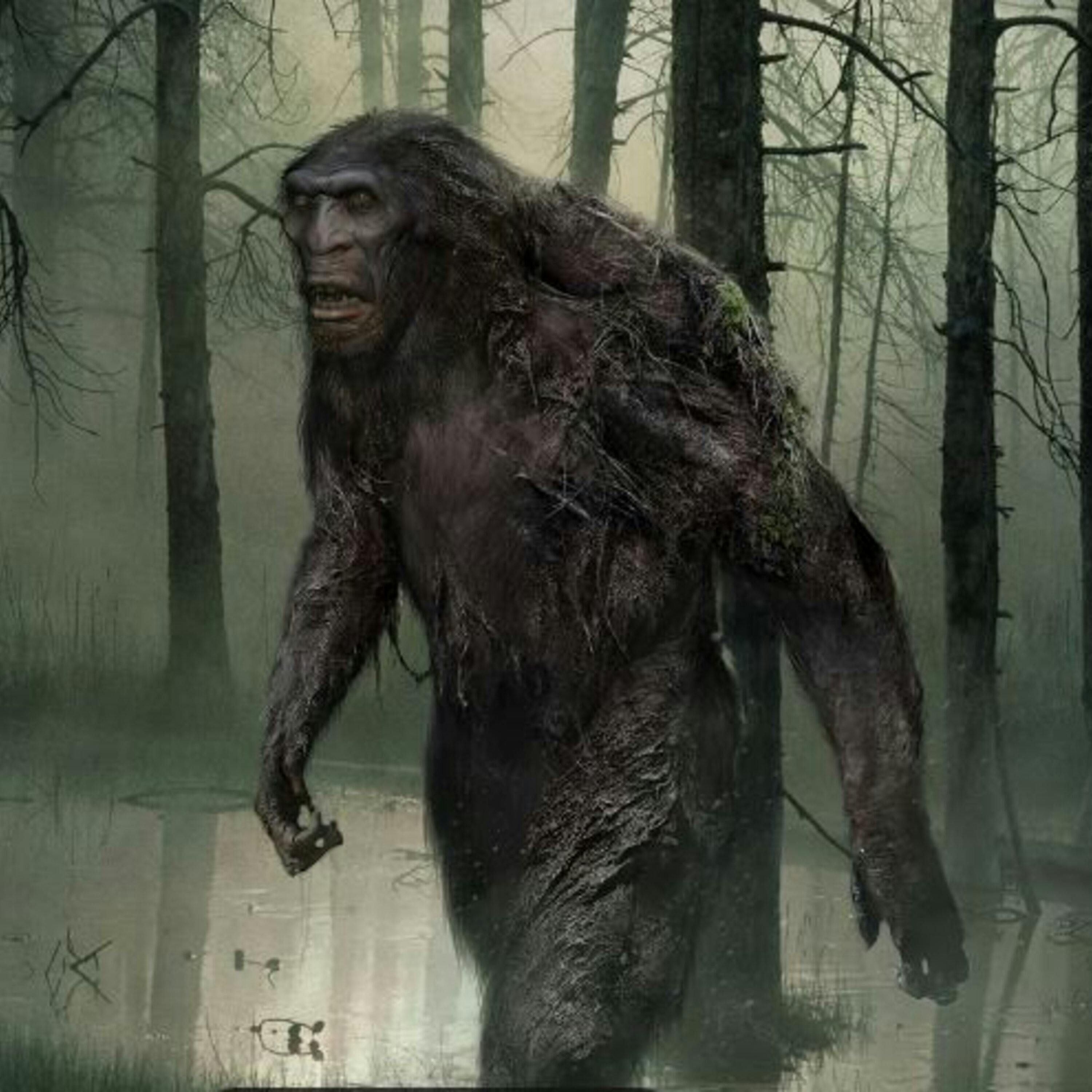 Strange, Supernatural and Cautionary tales of Bigfoot - Monsters Lounge Podcast episode artwork