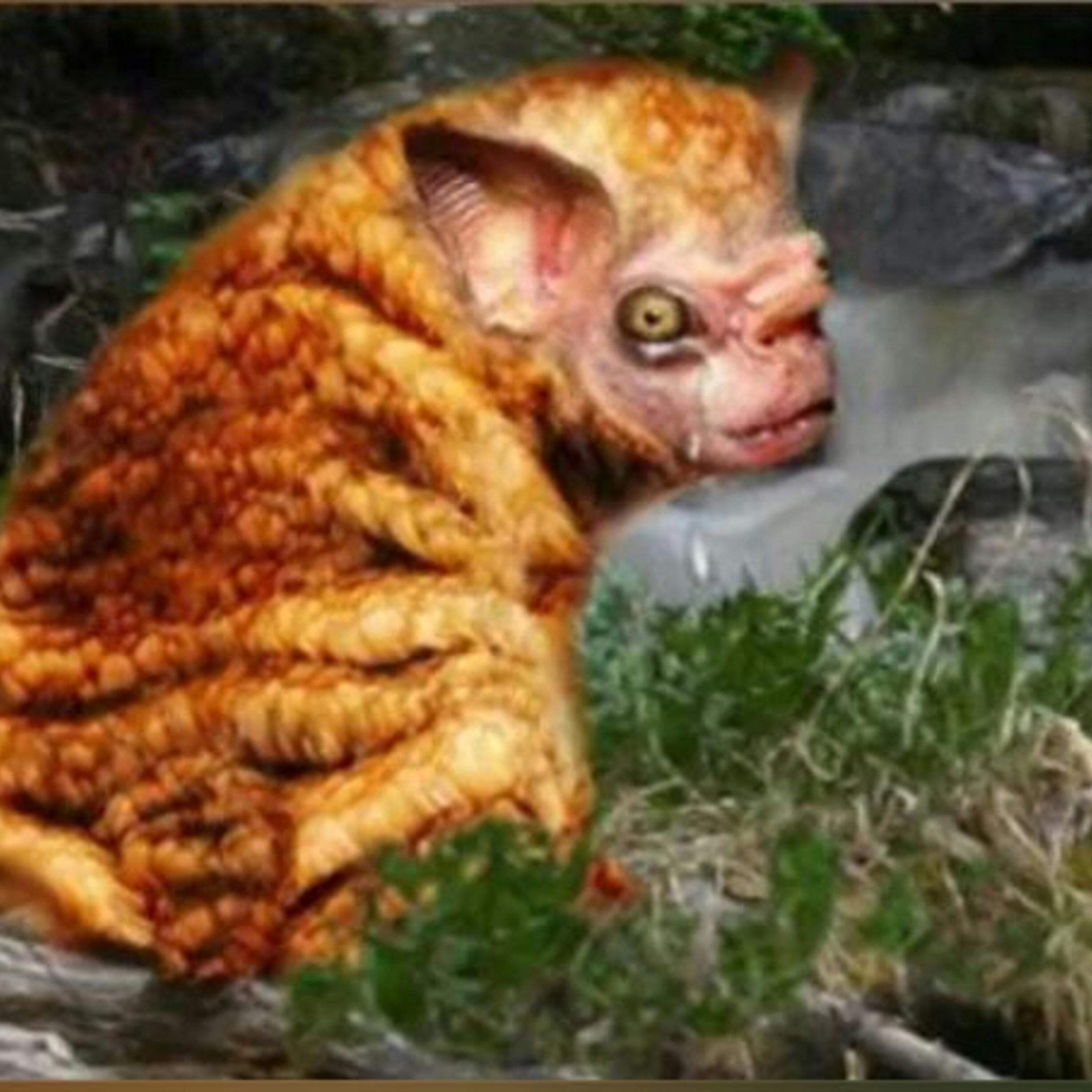 BEHOLD the SQUONK - WTF! Edition episode artwork