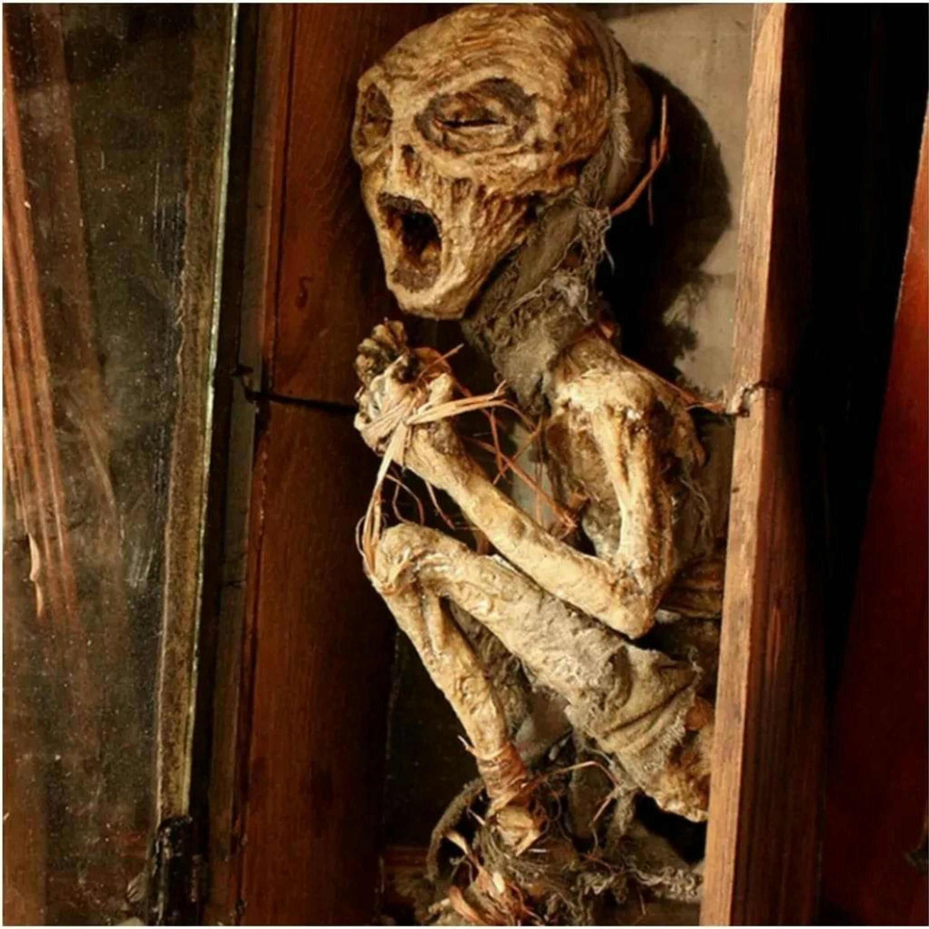 Skinwalker Ranch & Secrets in our Skies episode artwork
