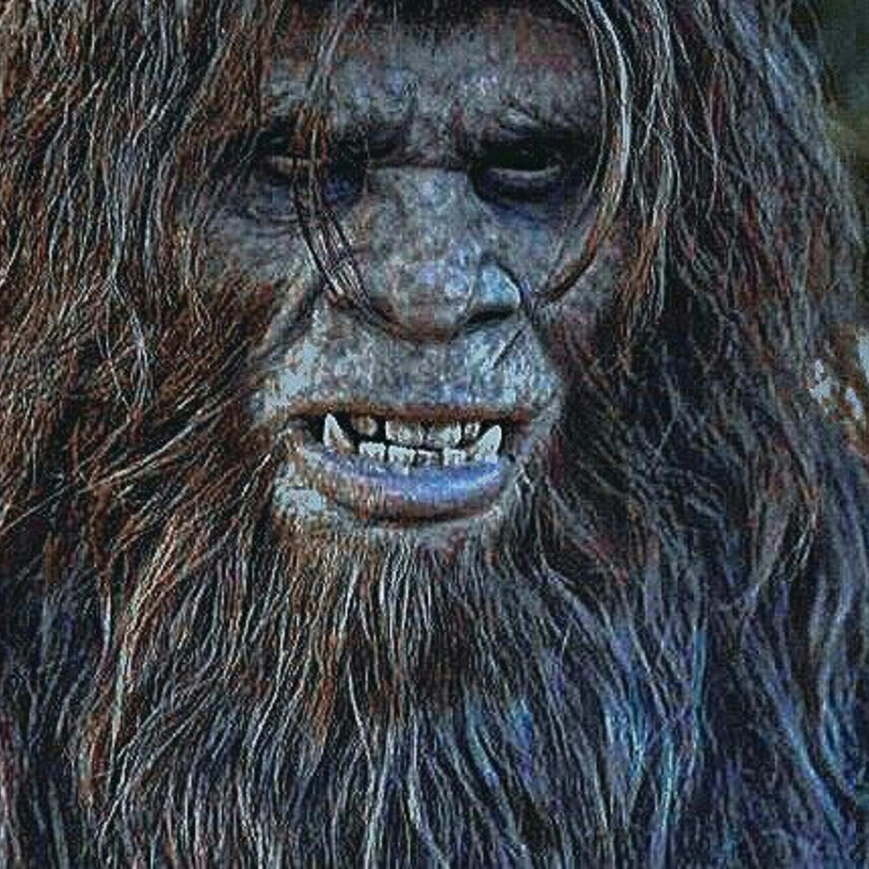 Expedition Bigfoot - The Trail of Evidence episode artwork