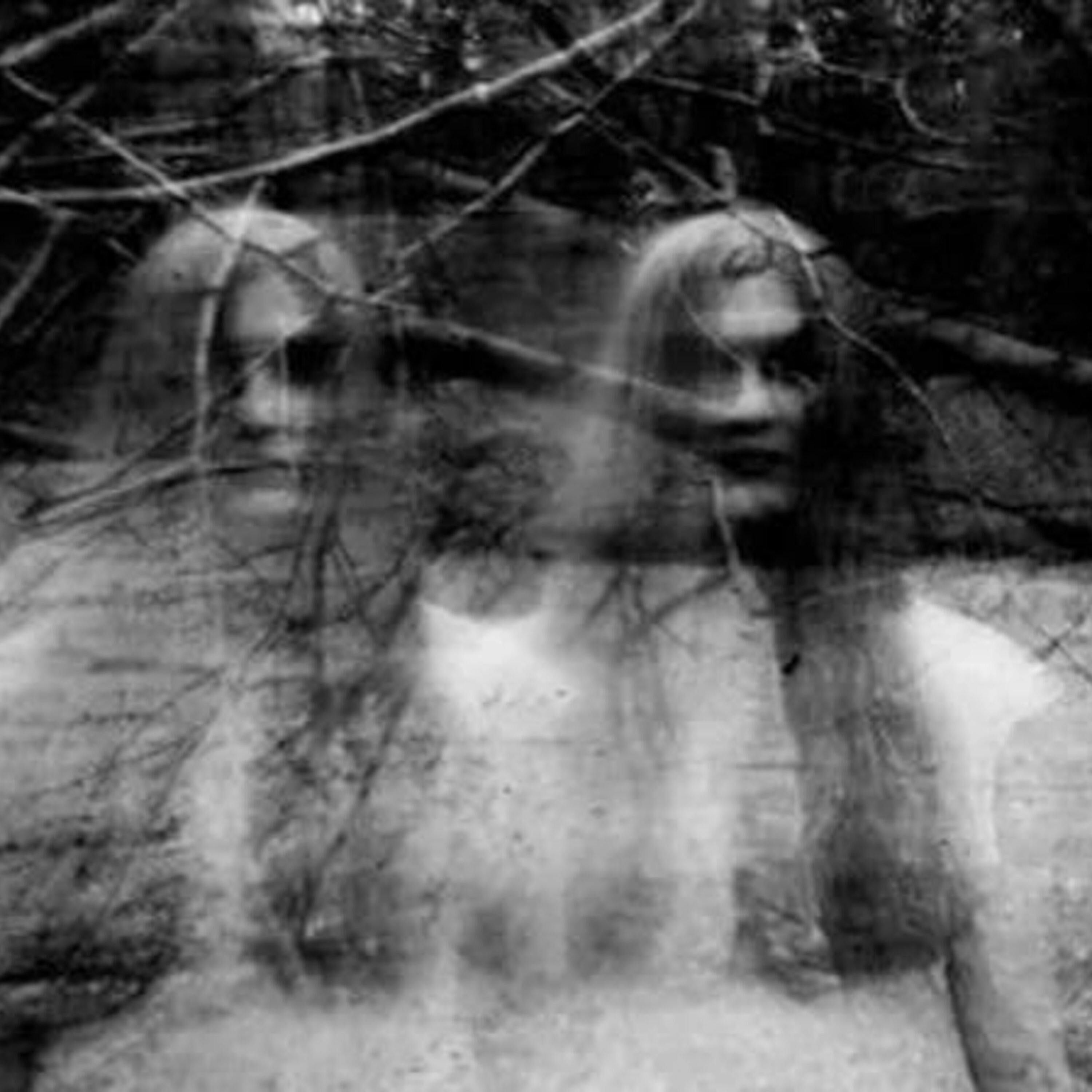 Transylvania’s Haunted Hoia Baciu Forest - A True Hauntings Podcast episode artwork