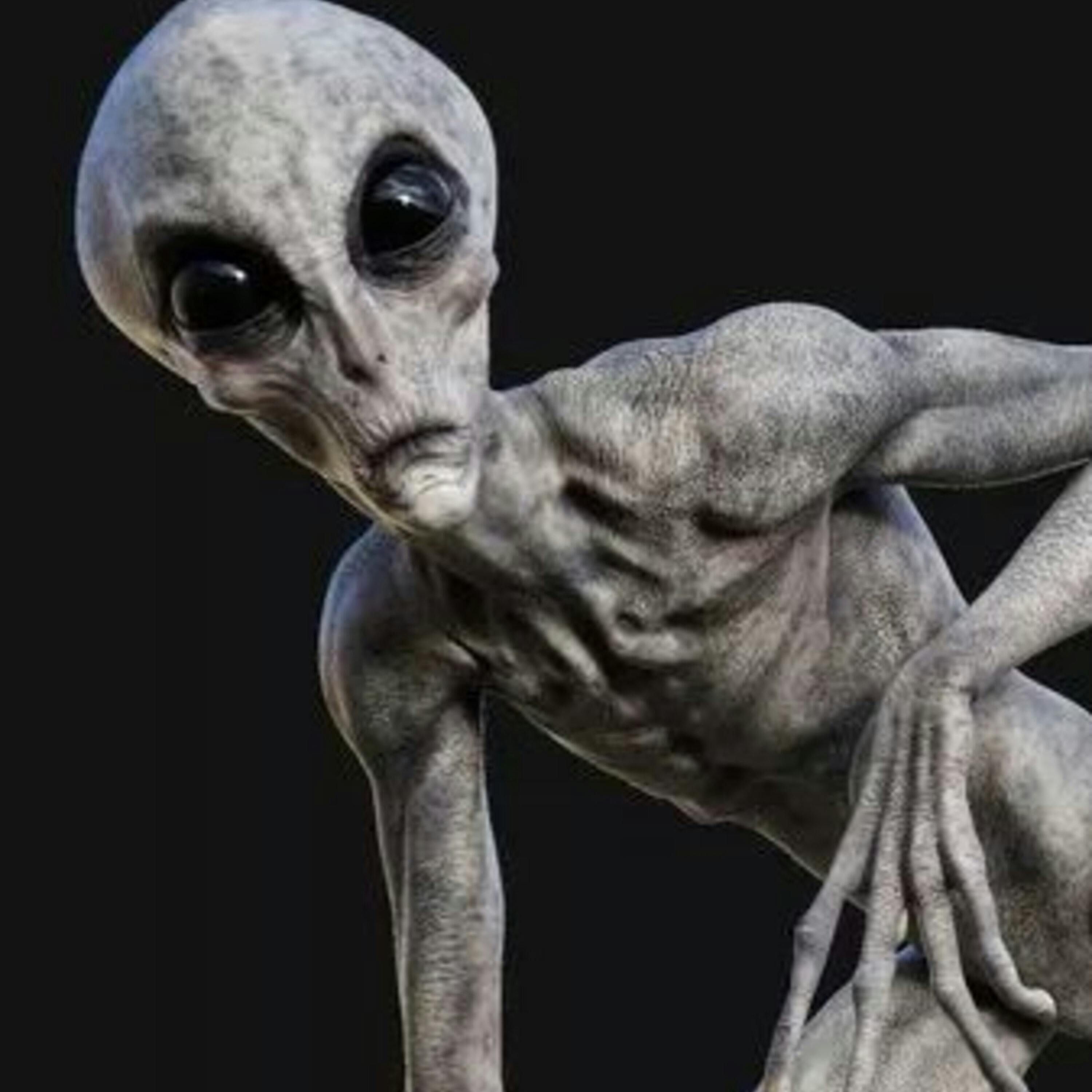 Miami Alien Mall Melee Edition - The Paranormal 60 News