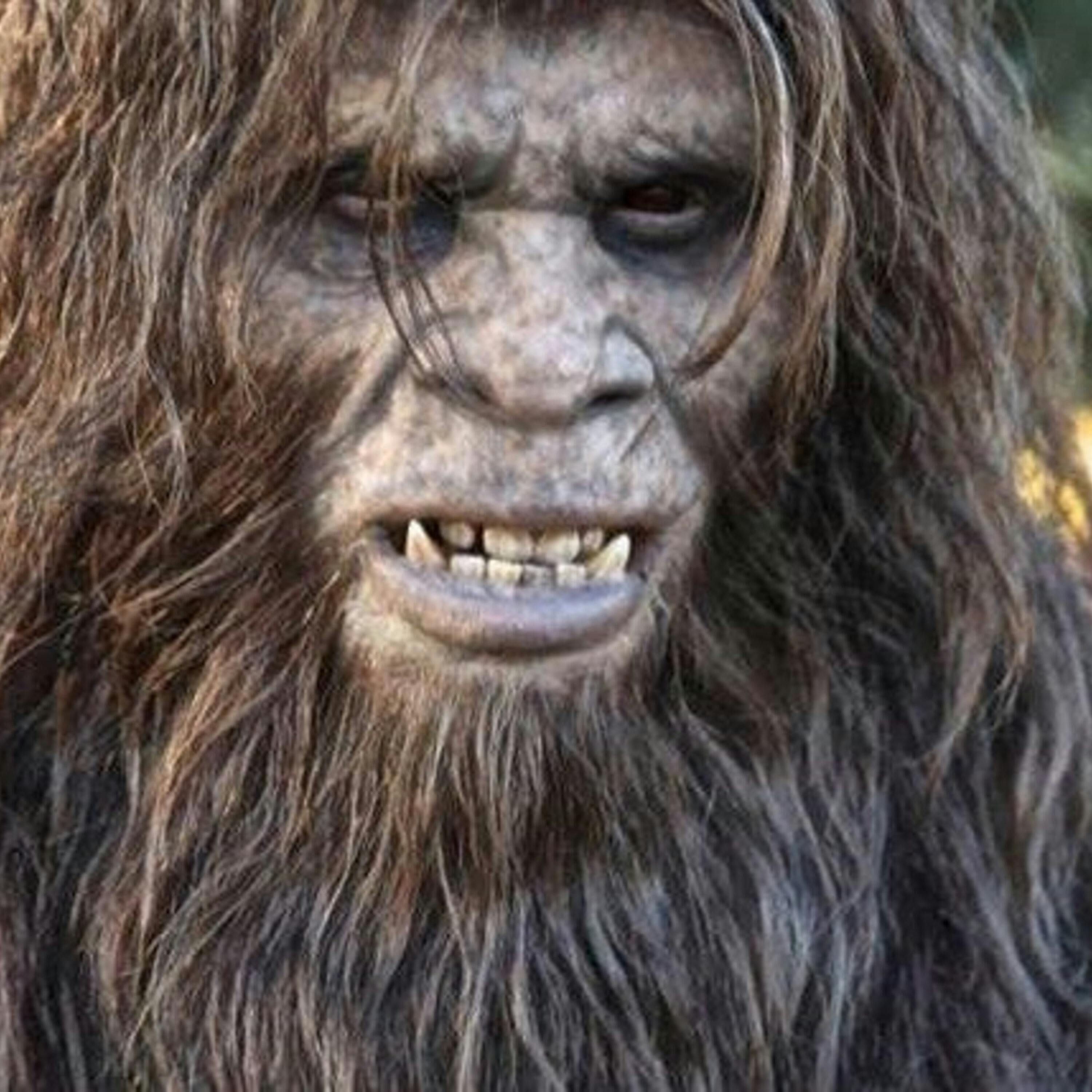 CiTonga & The Skunk Ape Experiments episode artwork
