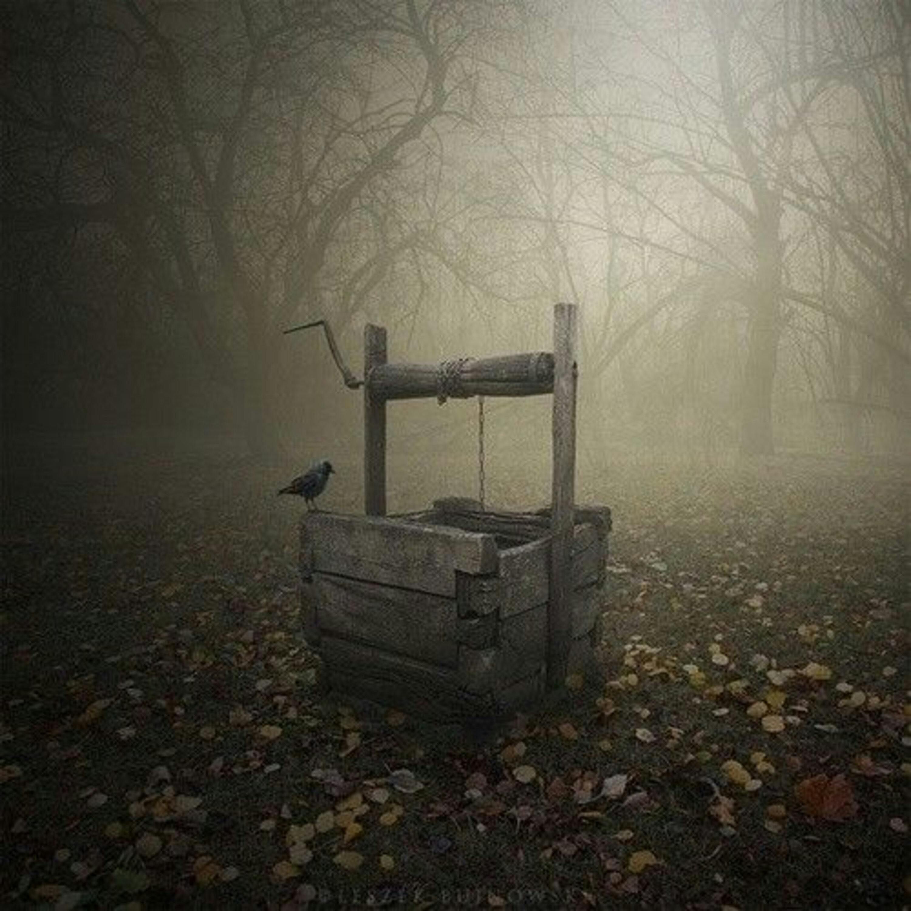 The Other Borden Family Murders - A New England Legends Podcast episode artwork