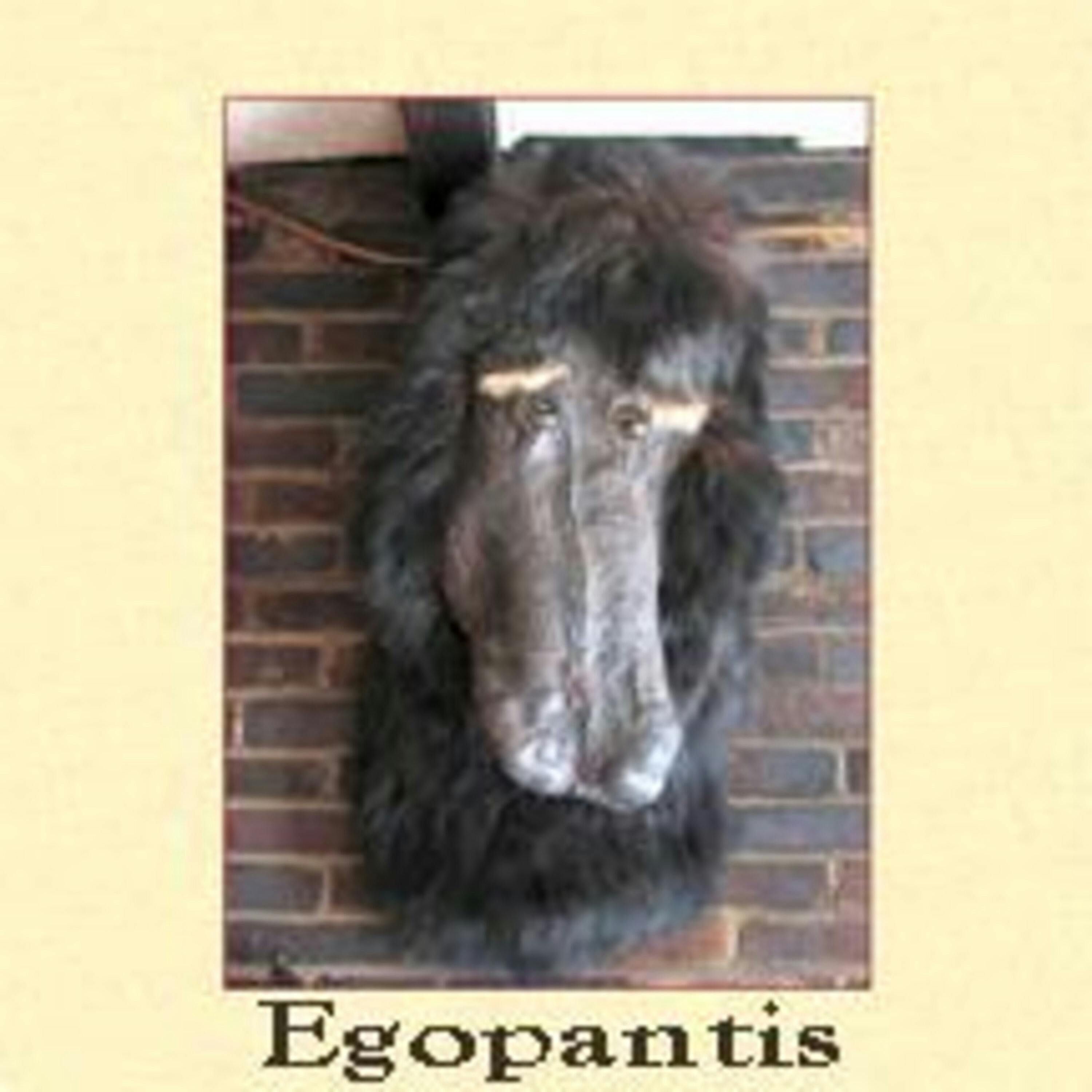 The Hunt for The Egopantis - A New England Legends Podcast