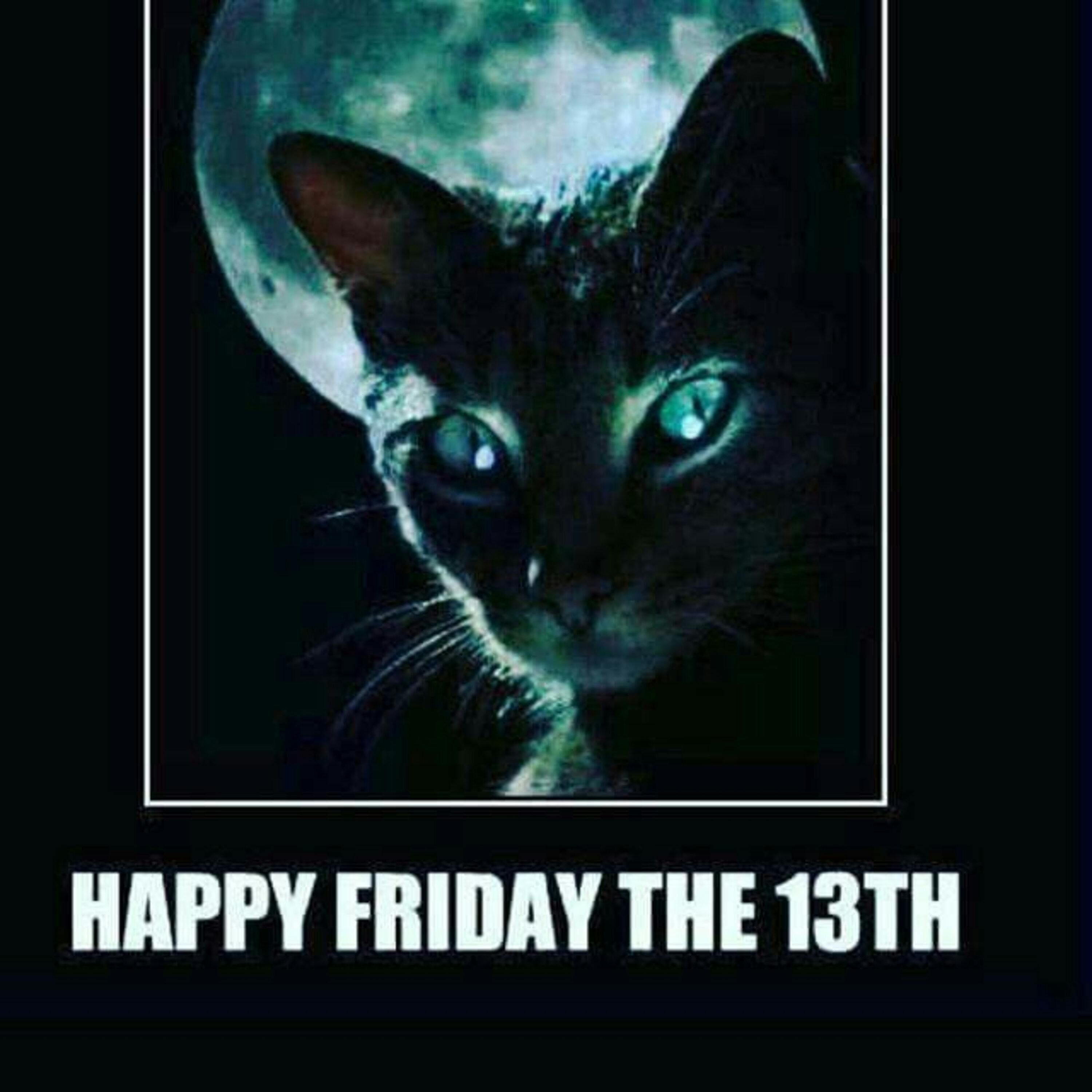 Friday the 13th Edition episode artwork