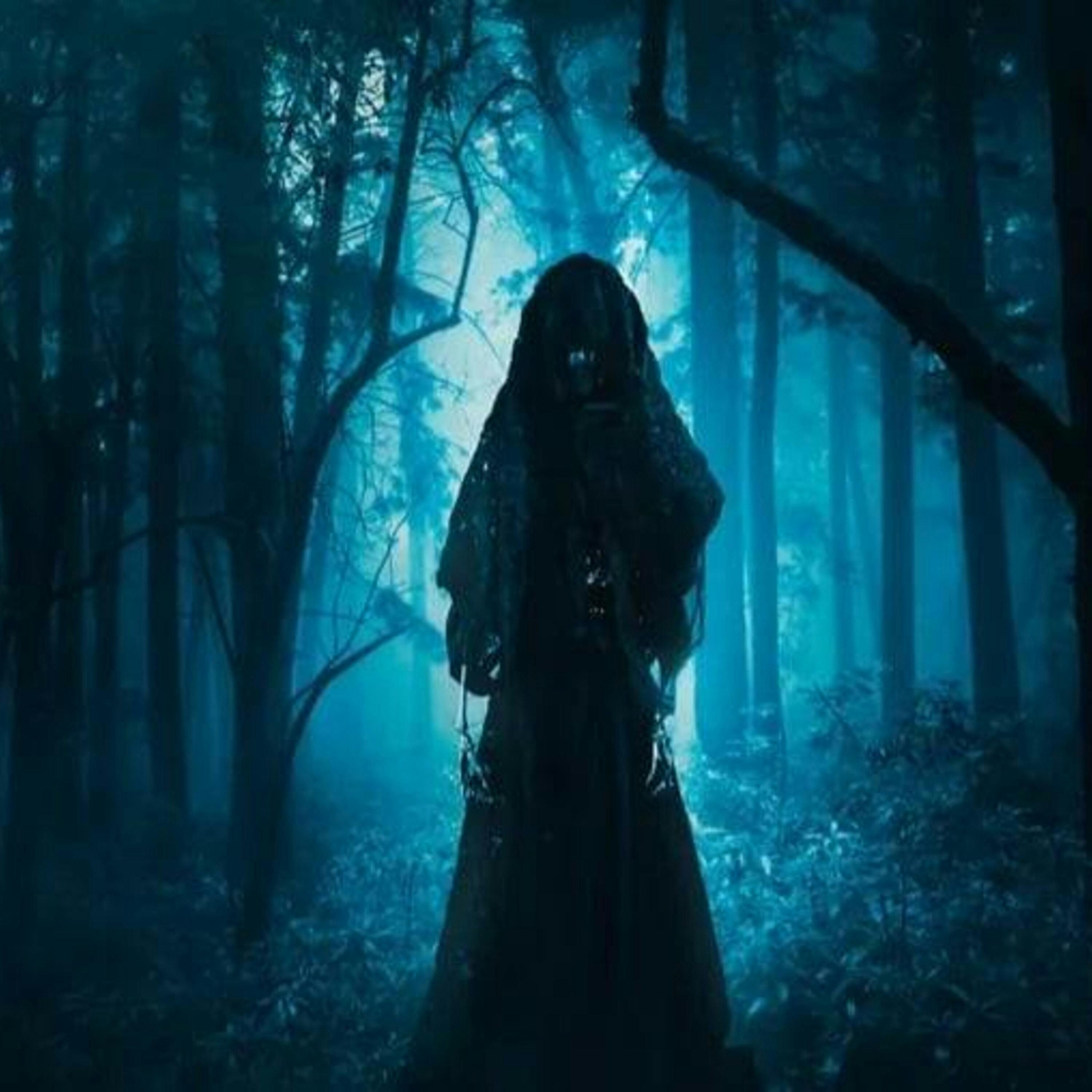 Japan's Haunted Forest: The Sea of Trees - A True Hauntings Podcast episode artwork