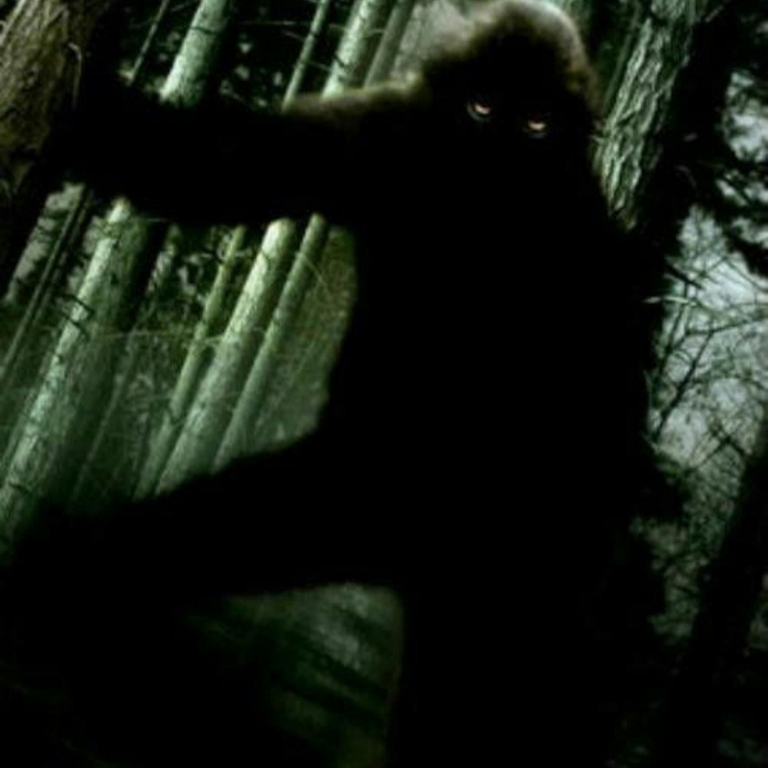 BIGFOOT: Eyes from the Pines episode artwork