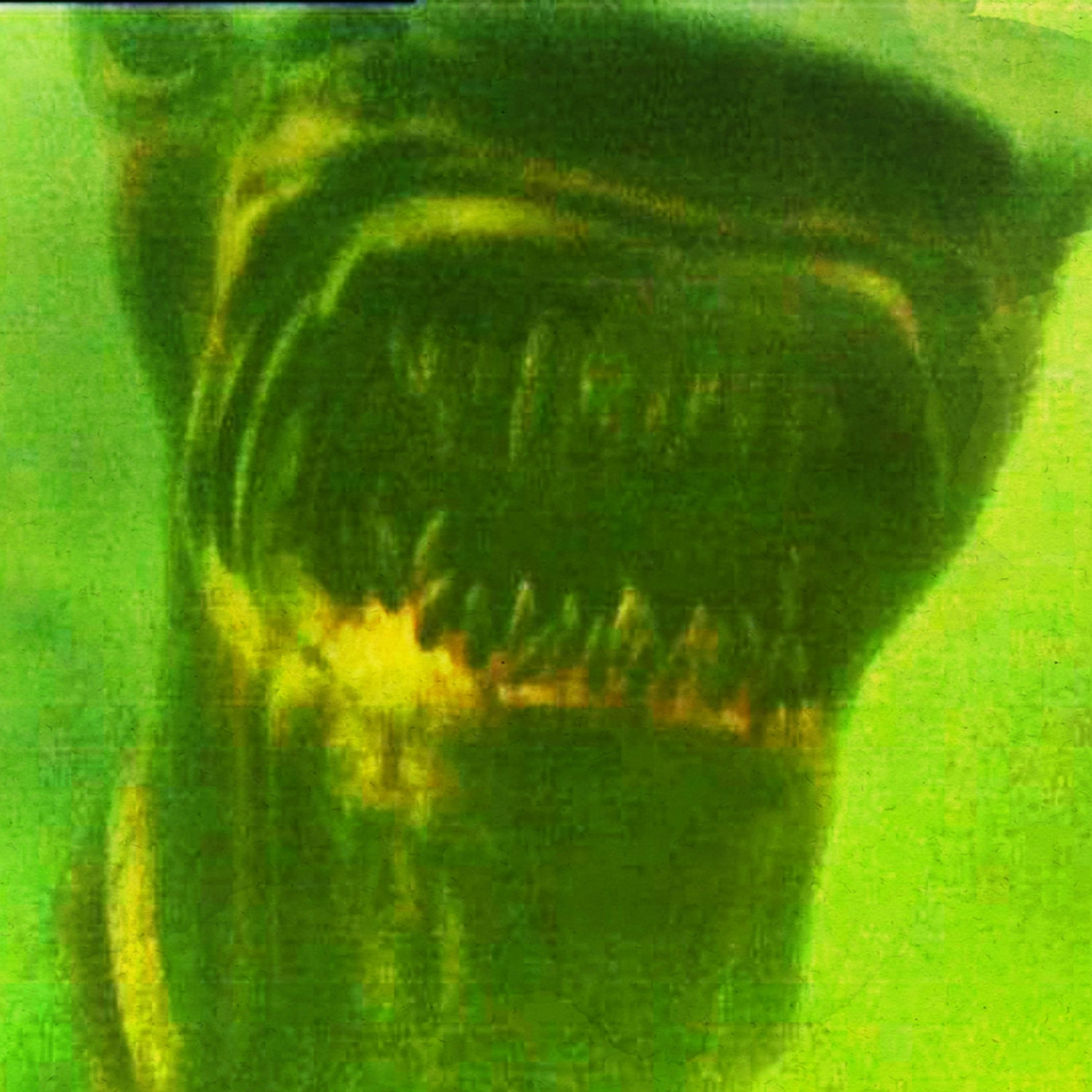 Up from the Depths: Ogopogo - The Paranormal 60