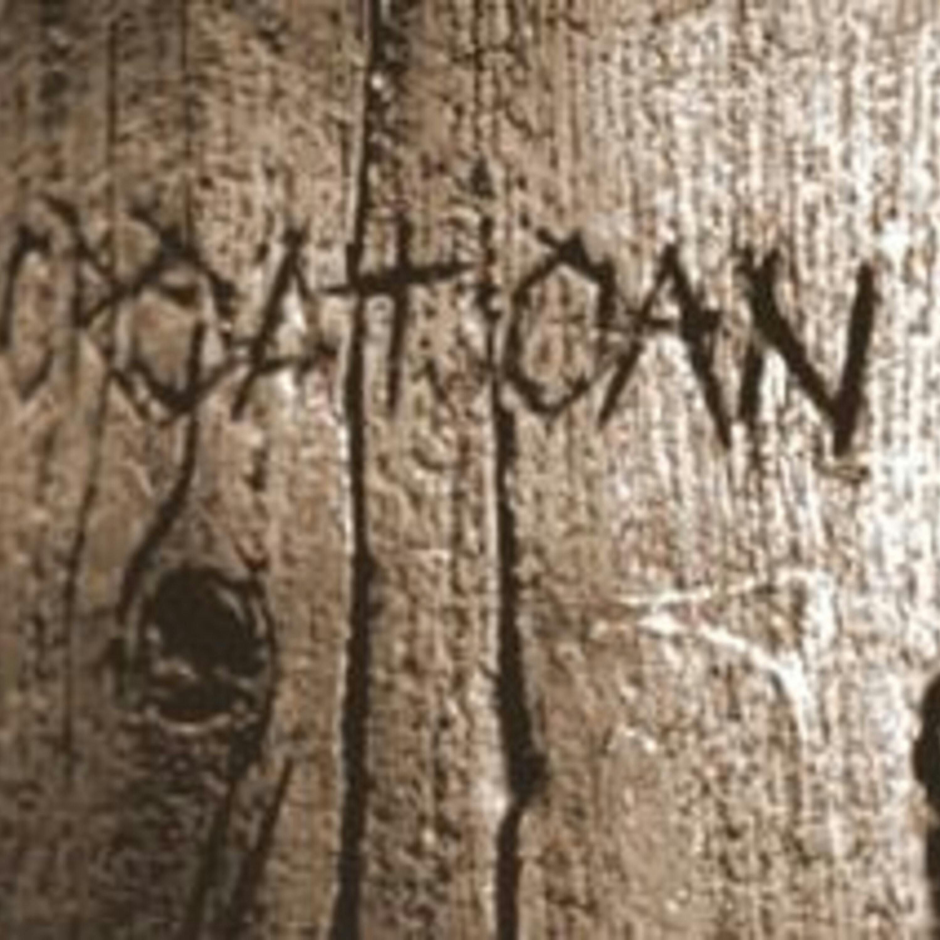 Roanoke the Village that Vanished - A Searchers Podcast