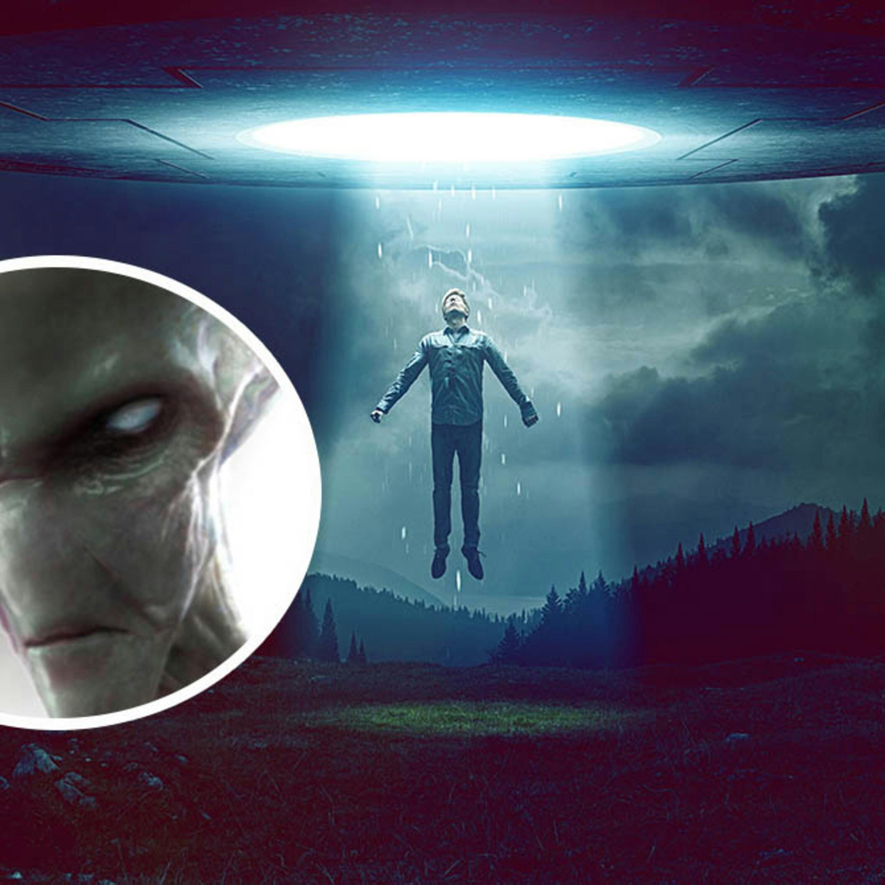 The Alien Abduction of Michel Desmarquet episode artwork