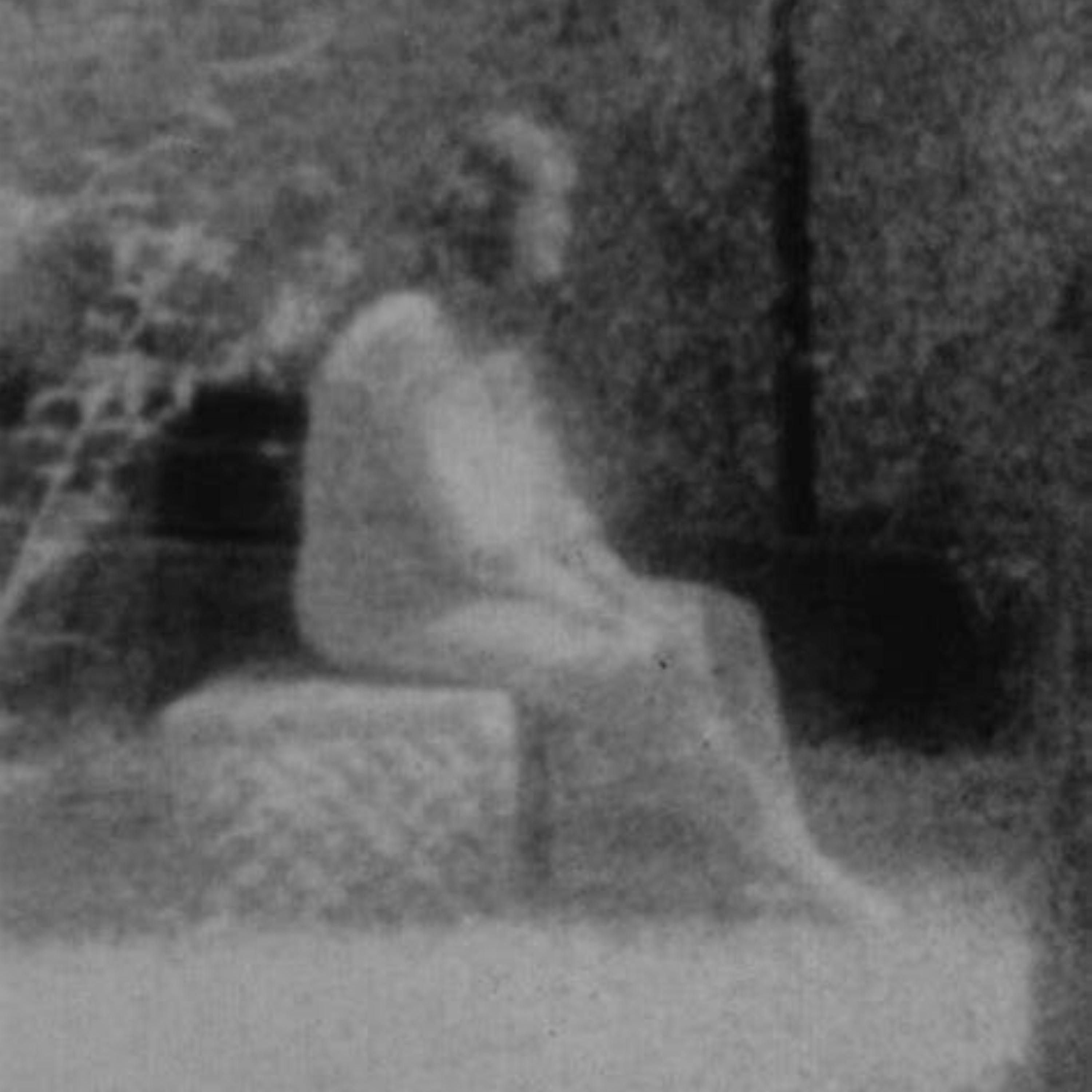 Bachelors Grove Cemetery - A True Hauntings Podcast episode artwork