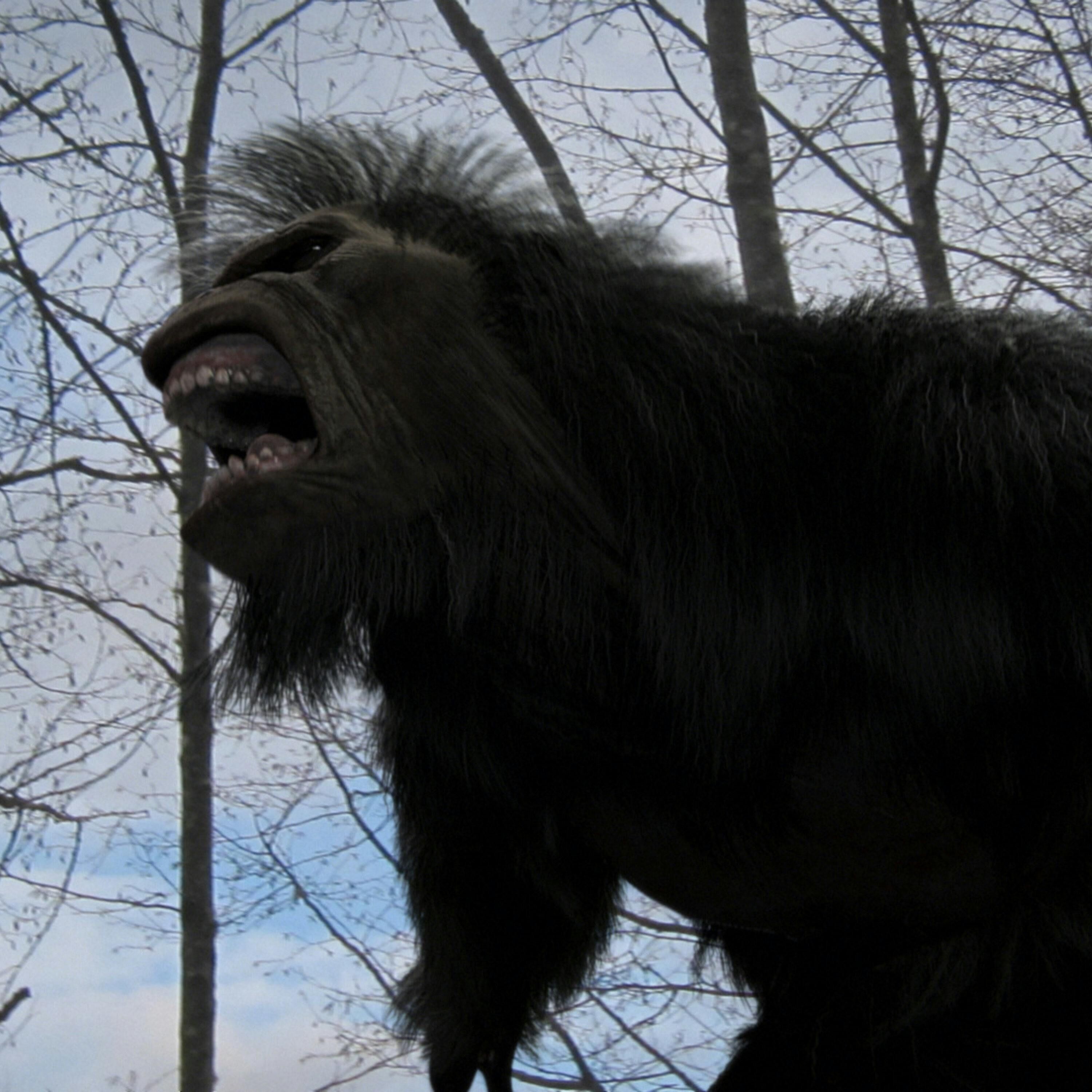 Bigfoot, Loch Monsters & Phantoms Edition episode artwork