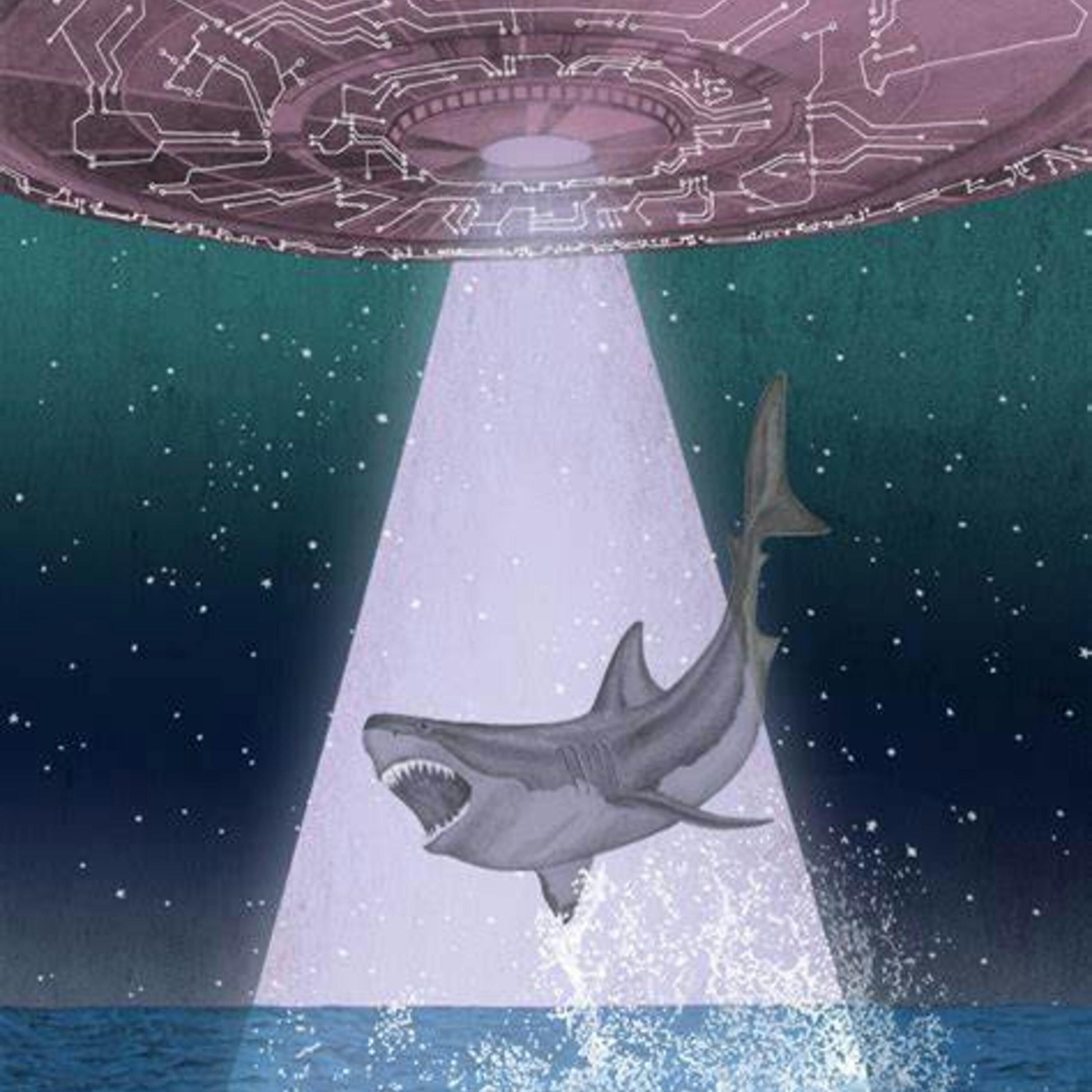 UFO’s, Magnets, and Megalodon - Monsters Lounge Podcast episode artwork