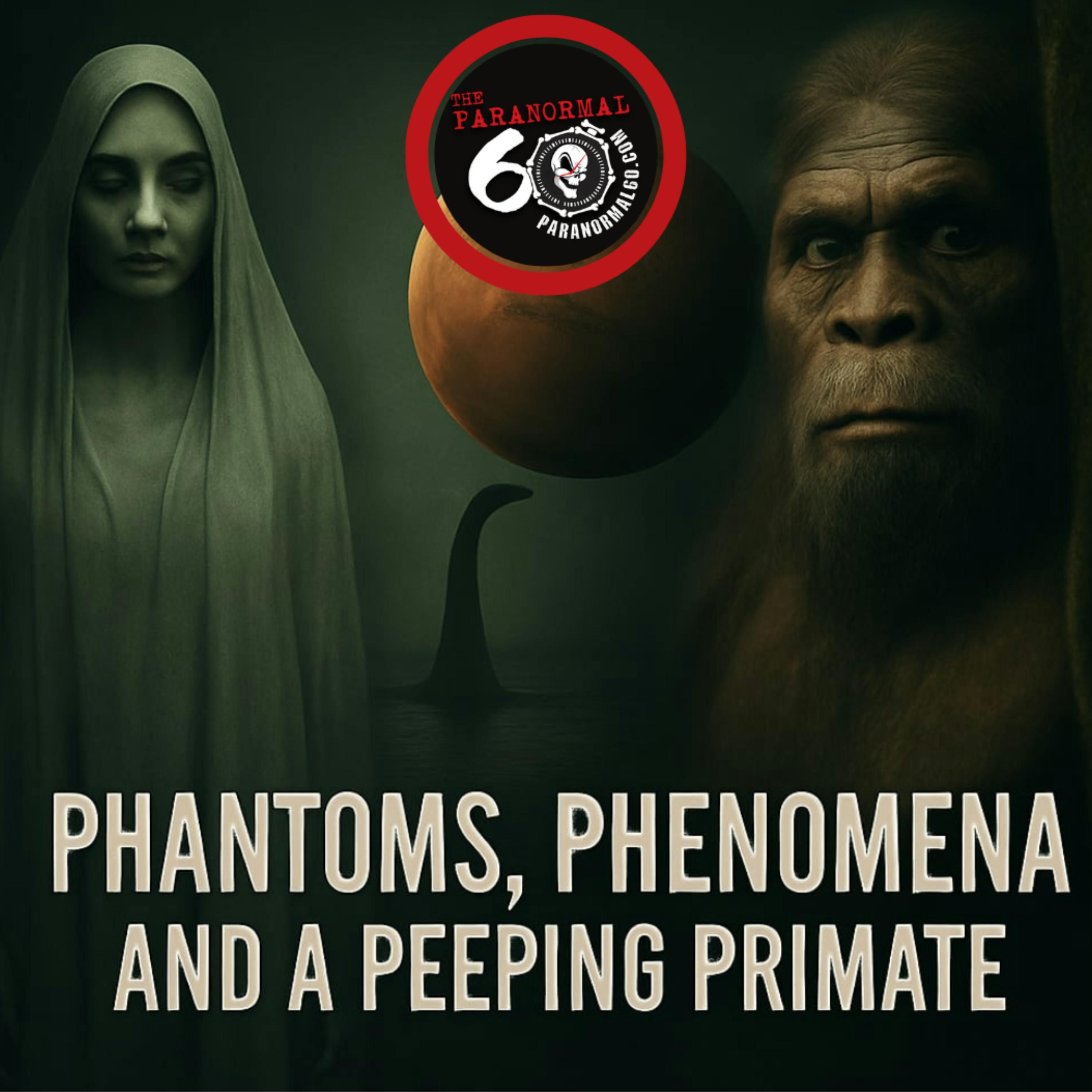 Phantoms, Phenomena, and a Peeping Primate Edition – The Paranormal 60 News episode artwork