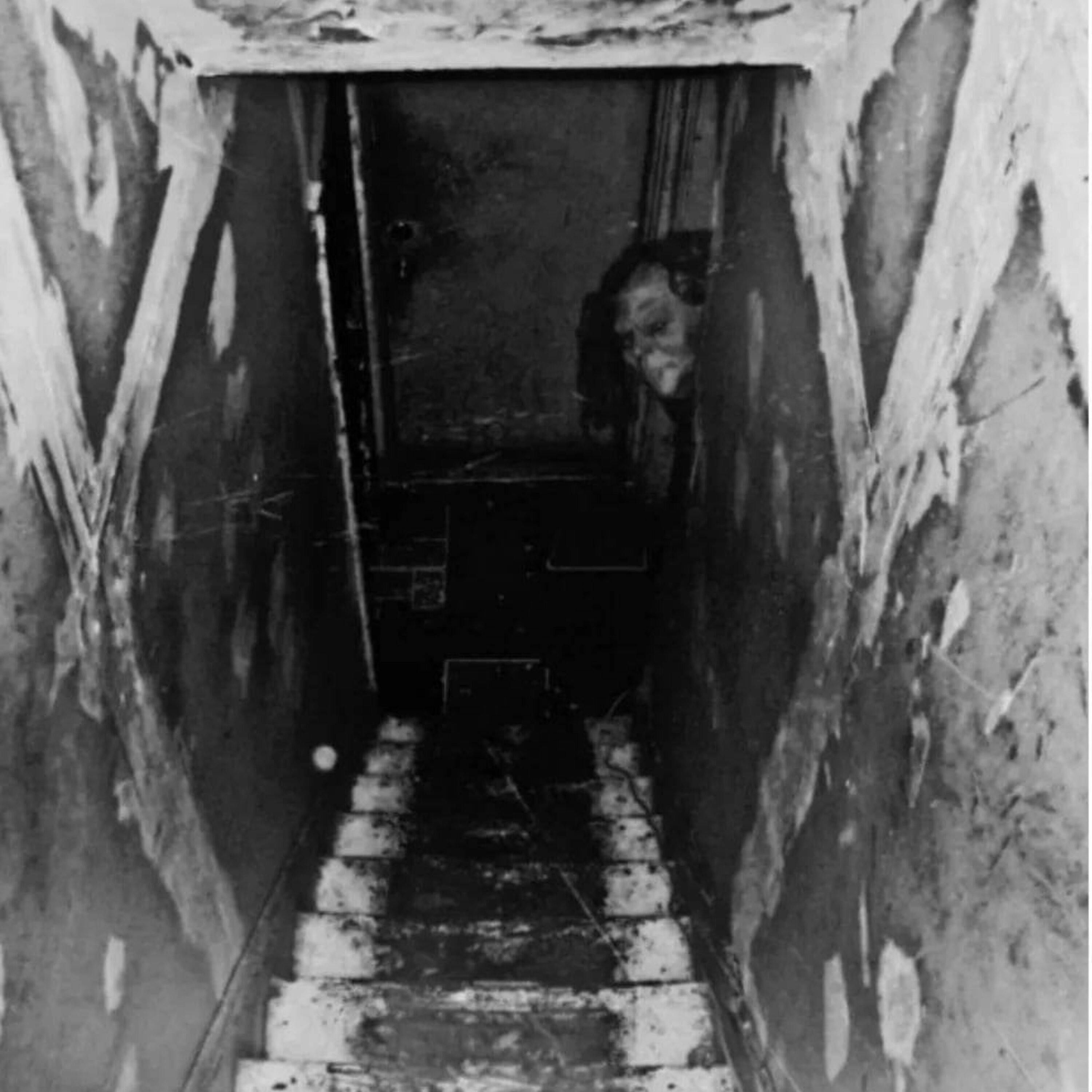 What's Haunting the Basement? episode artwork