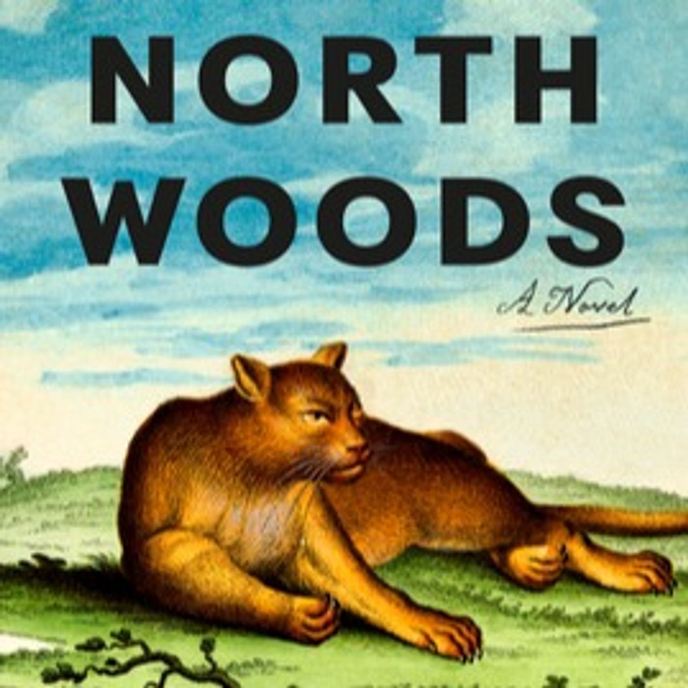 North Woods by Daniel Mason