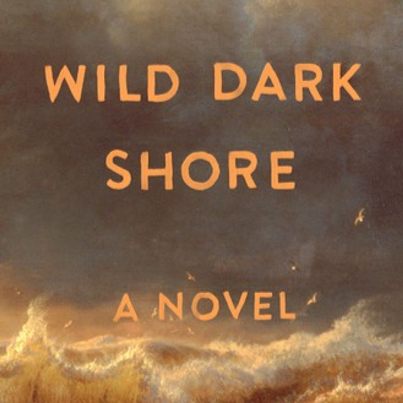 Wild Dark Shore by Charlotte McConaghy