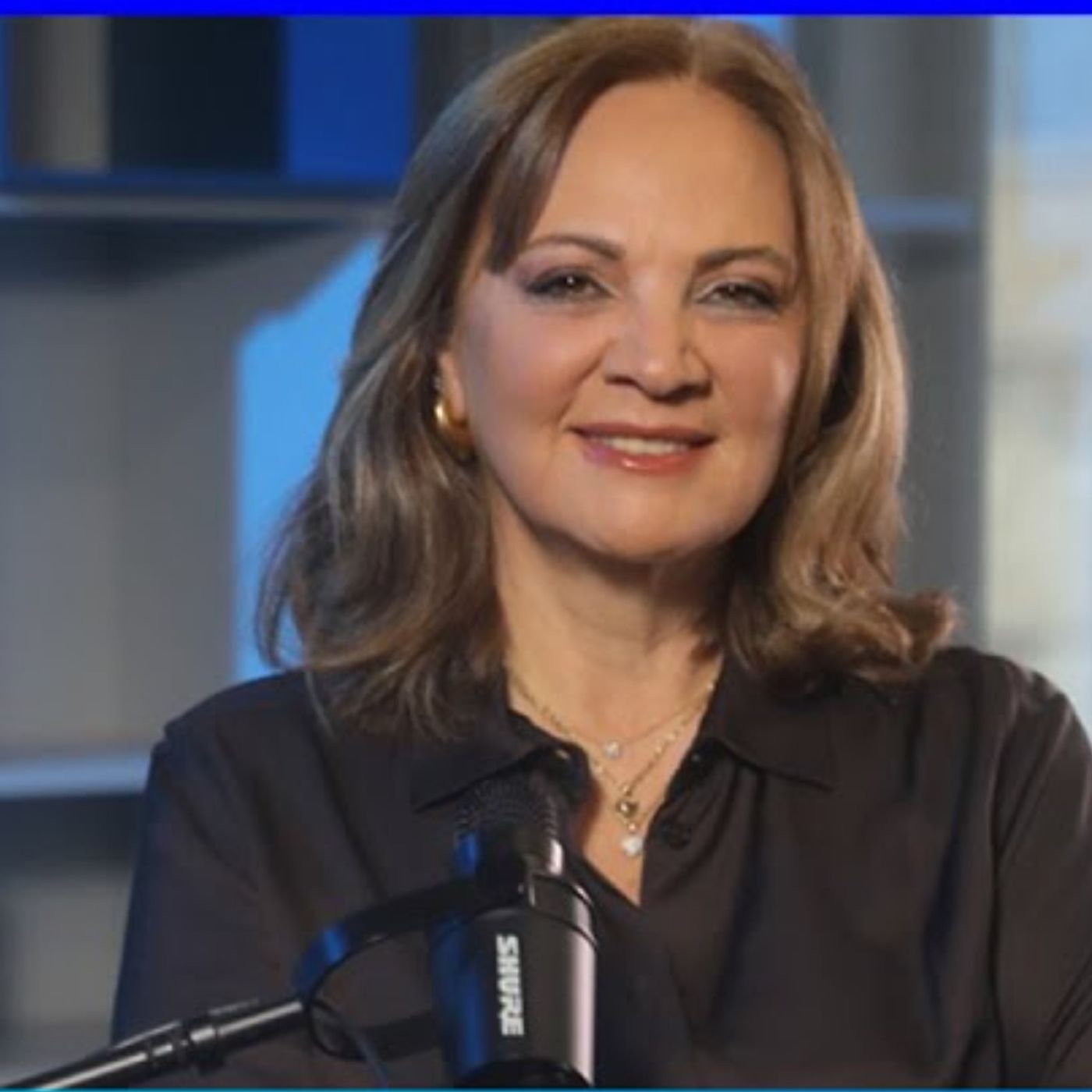 سابين عويس: ذهب مصرف لبنان بين الحماية والمخاطر سابين عويس: ذهب مصرف لبنان بين الحماية والمخاطر