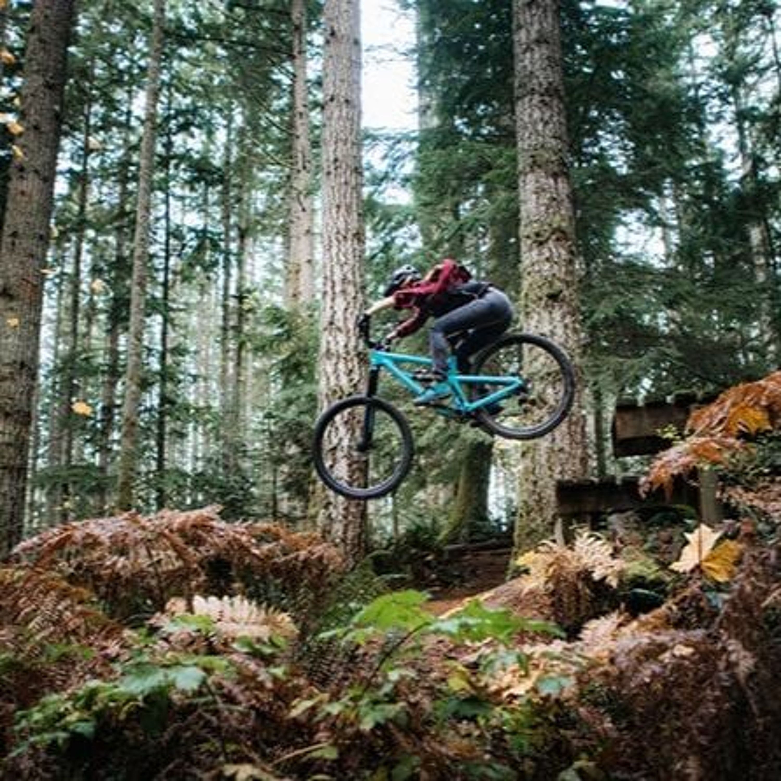 MOUNTAIN BIKING FACTS episode artwork