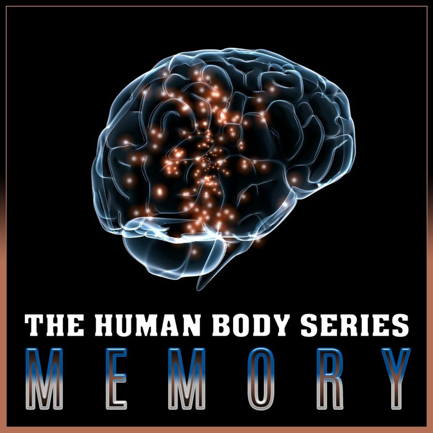 Memory (The Human Body Series) episode artwork