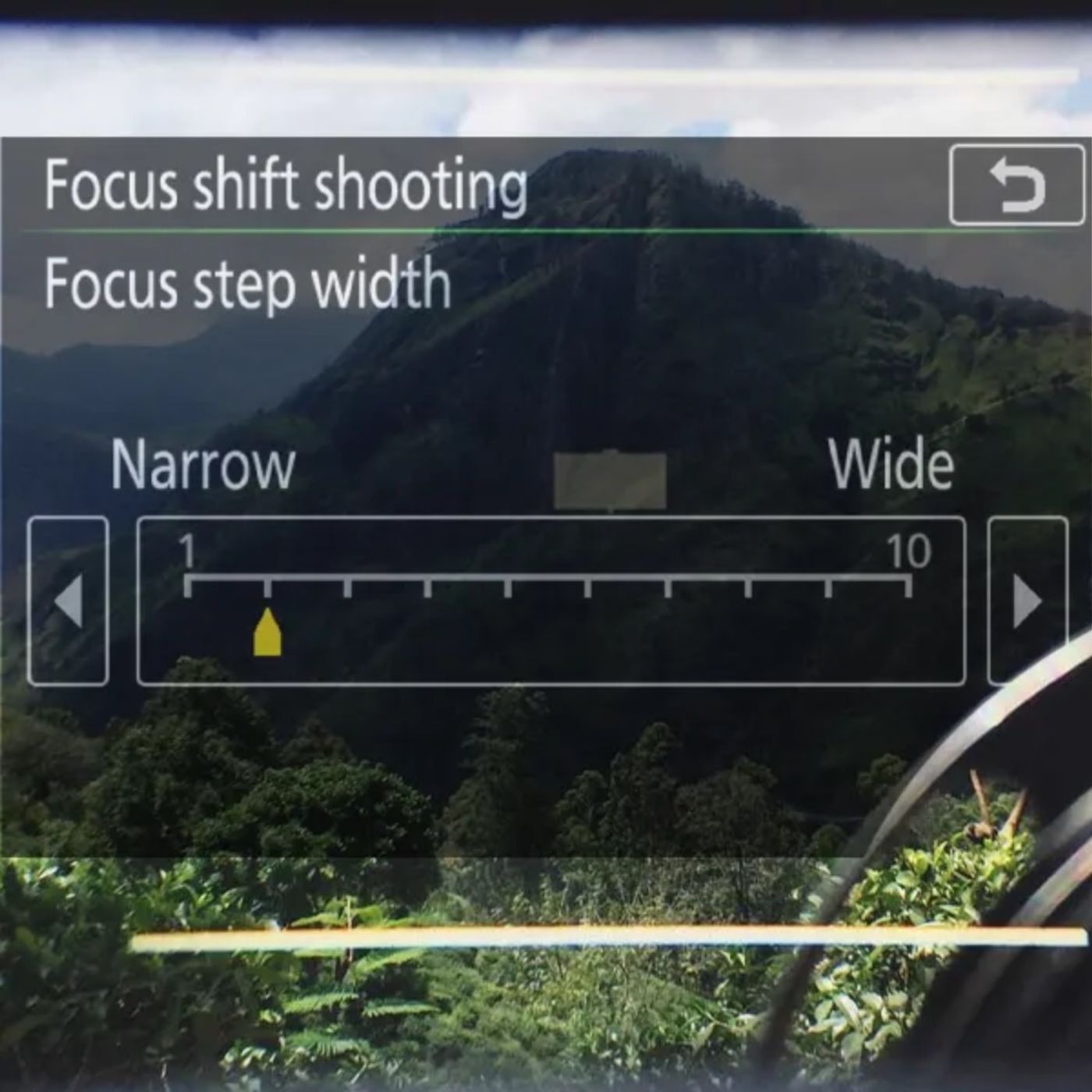 Canon vs Nikon: An In-Depth Comparison for DSLR Photography