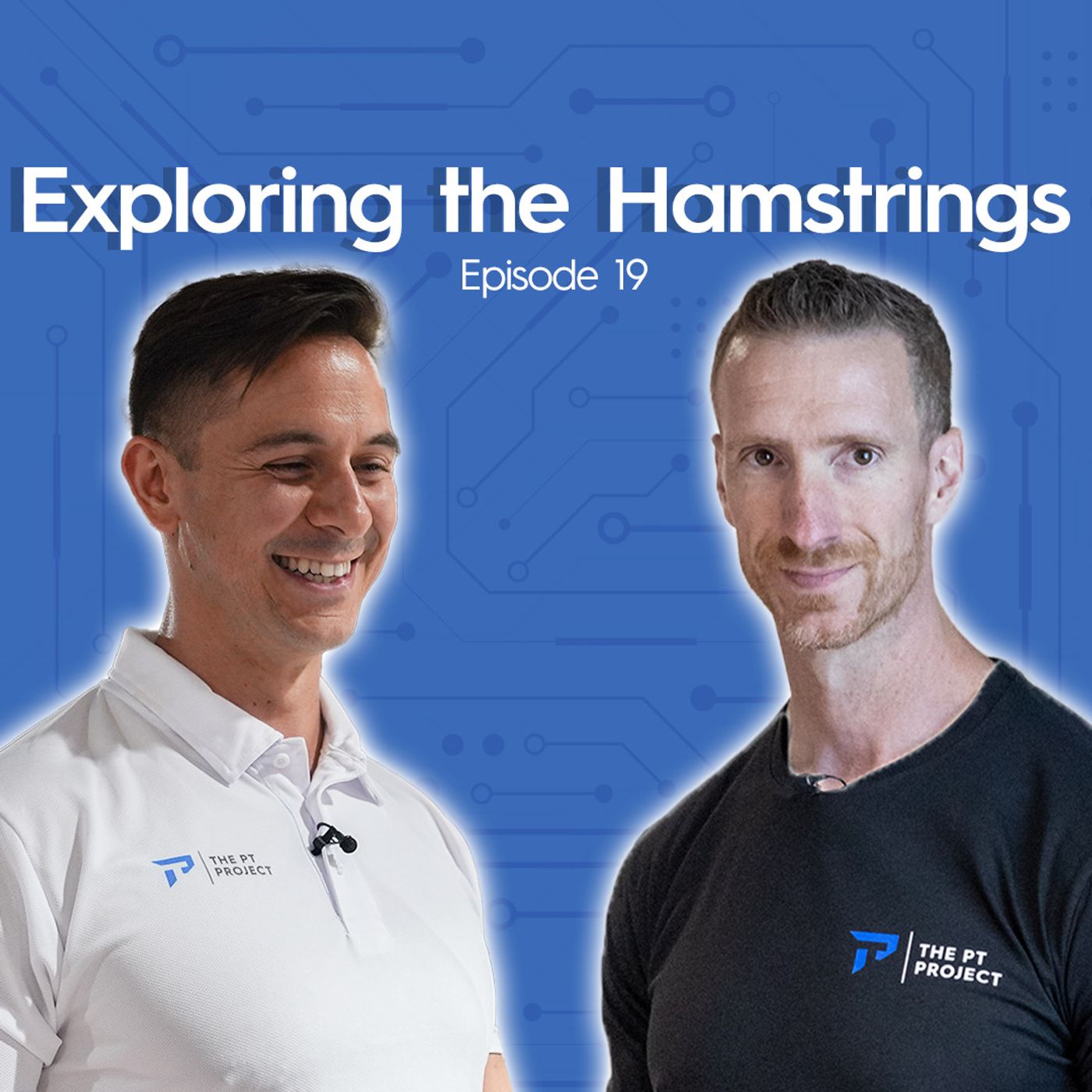 Exploring the Hamstrings
