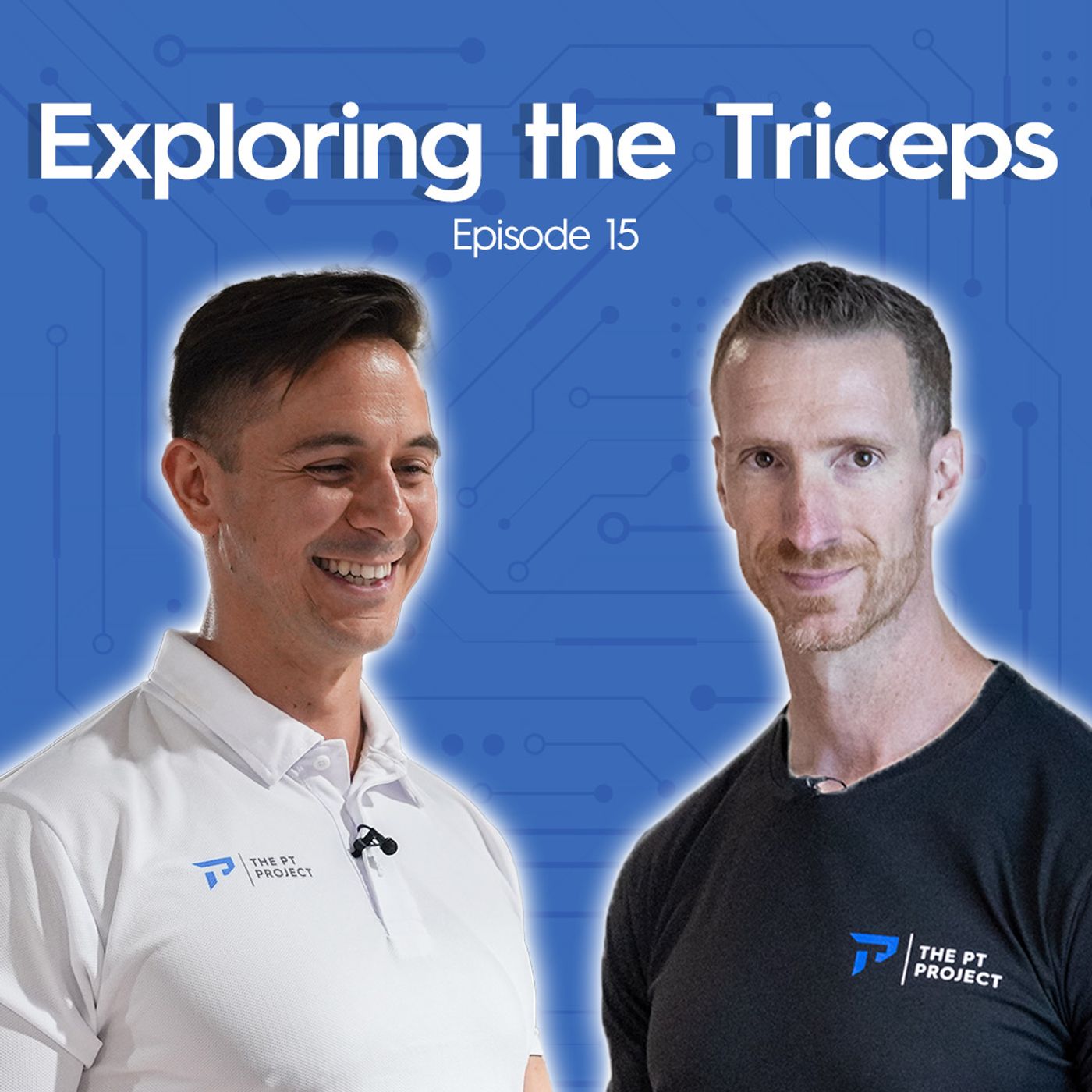 Exploring the Triceps