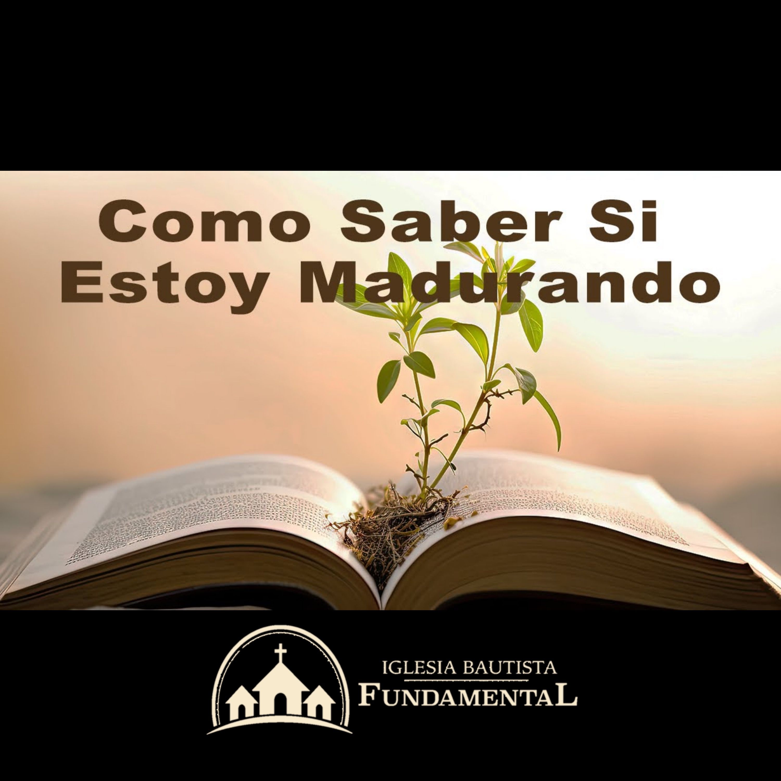 Como Saber Si Estoy Madurando - Pastor Danny Ortiz - domingo am 1/14/24 episode artwork