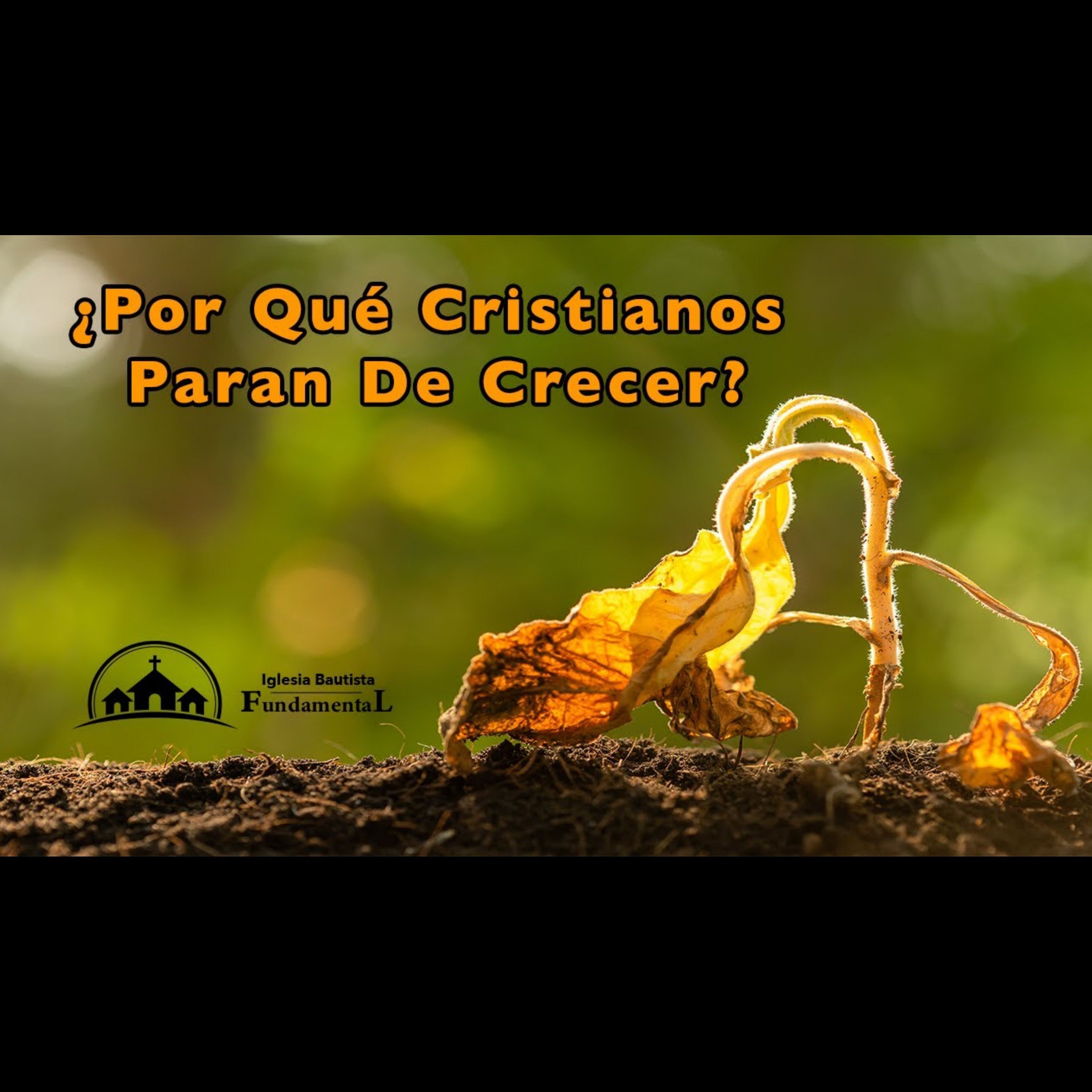 ¿Por Qué Cristianos Paran De Crecer? - Pastor Danny Ortiz - domingo pm 3/3/24 episode artwork