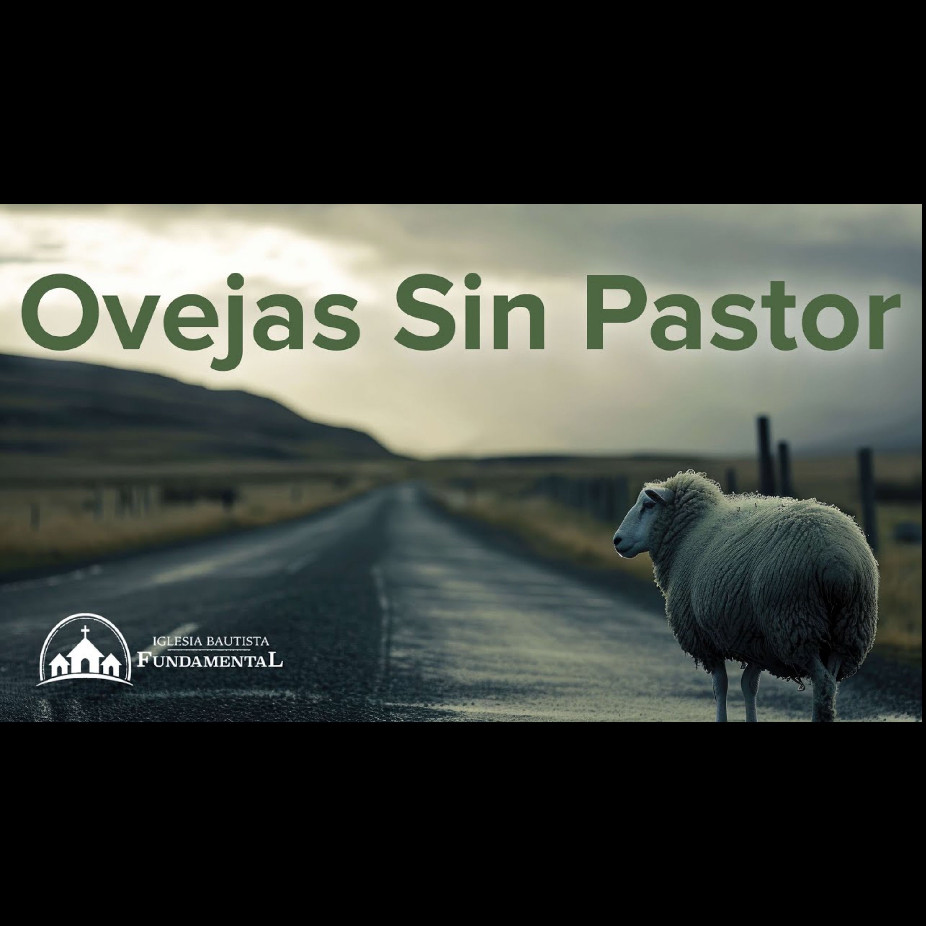 Ovejas Sin Pastor - Pastor Danny Ortiz - domingo am - 8/4/24 episode artwork